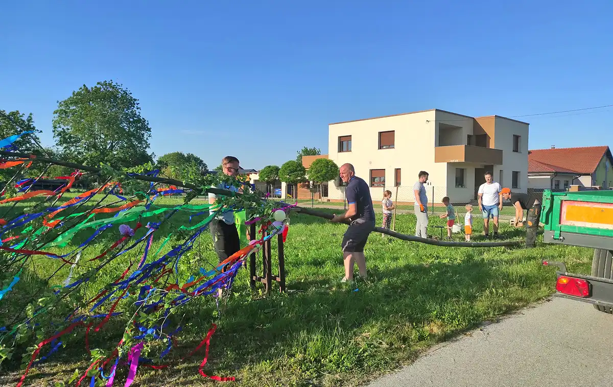 Postavljanje majge u Čehovcu (13) Postavljanje majge u Čehovcu (13)