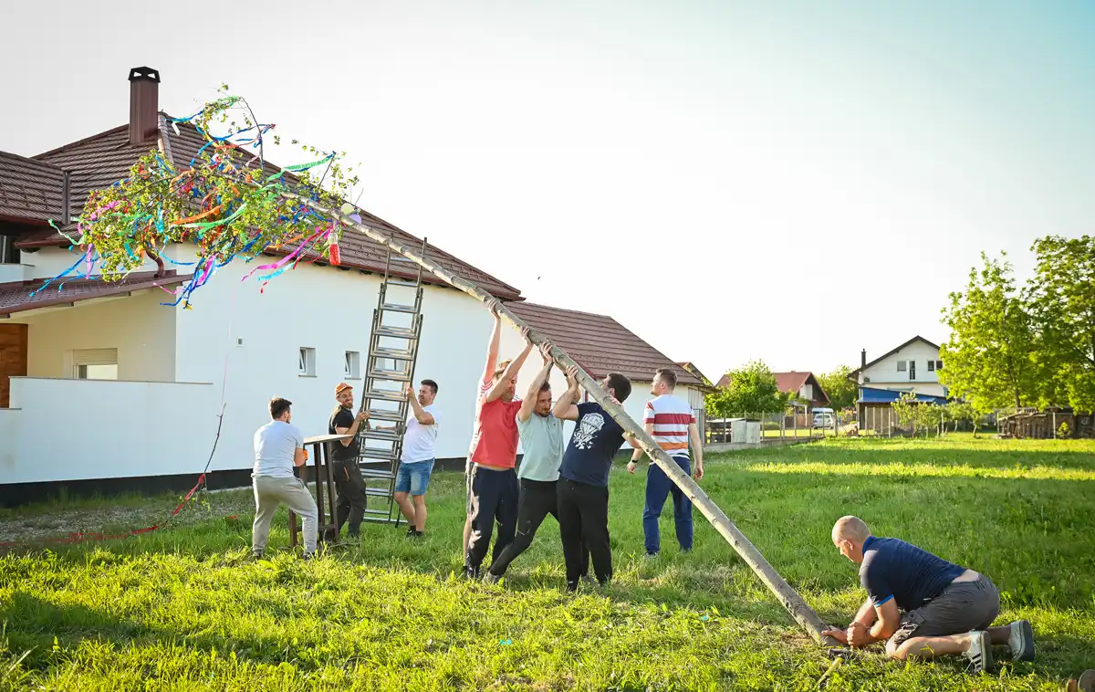 Postavljanje majge u Čehovcu (5) Postavljanje majge u Čehovcu (5)