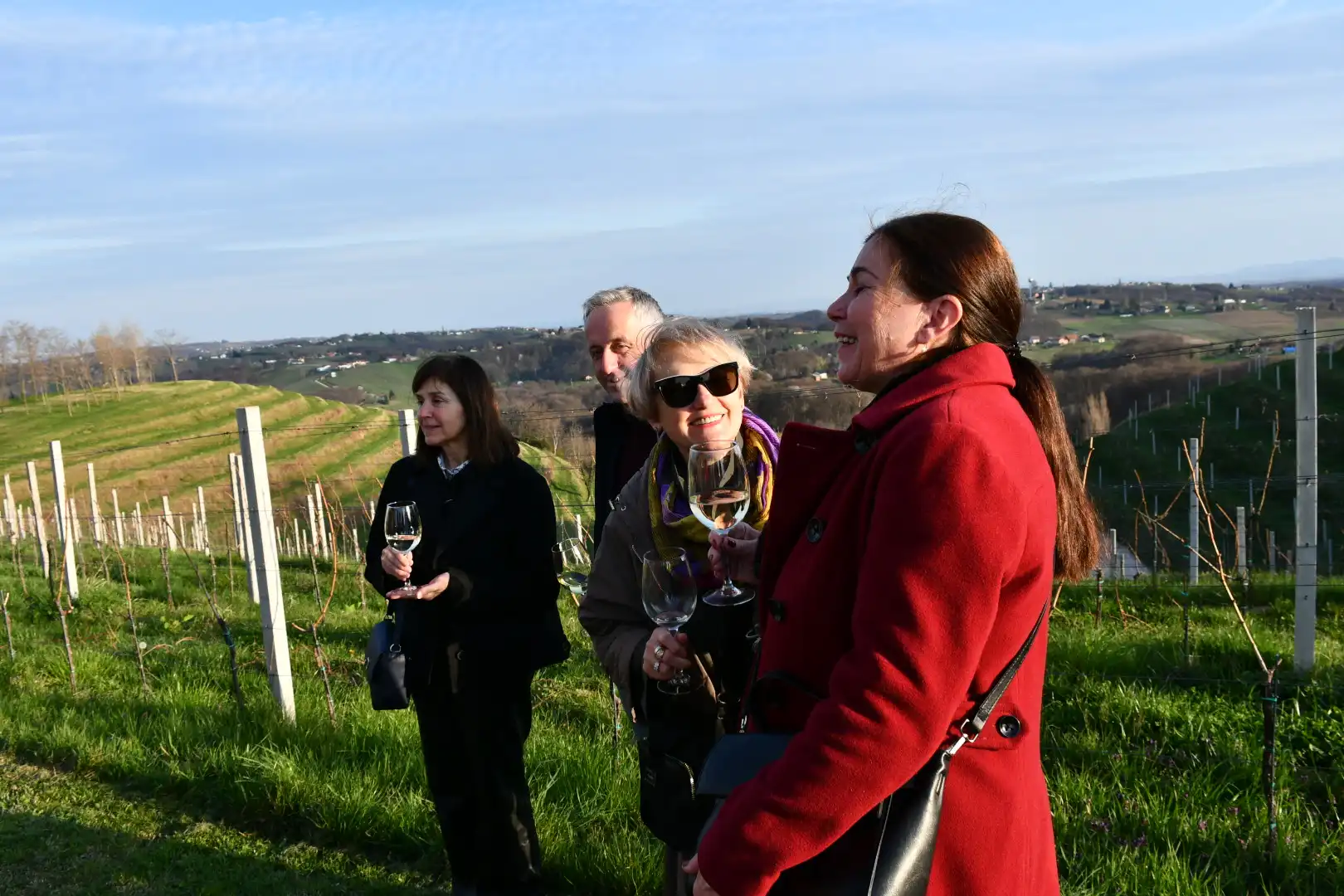 Postavljene orgulje na Mađerkinom bregu (3)