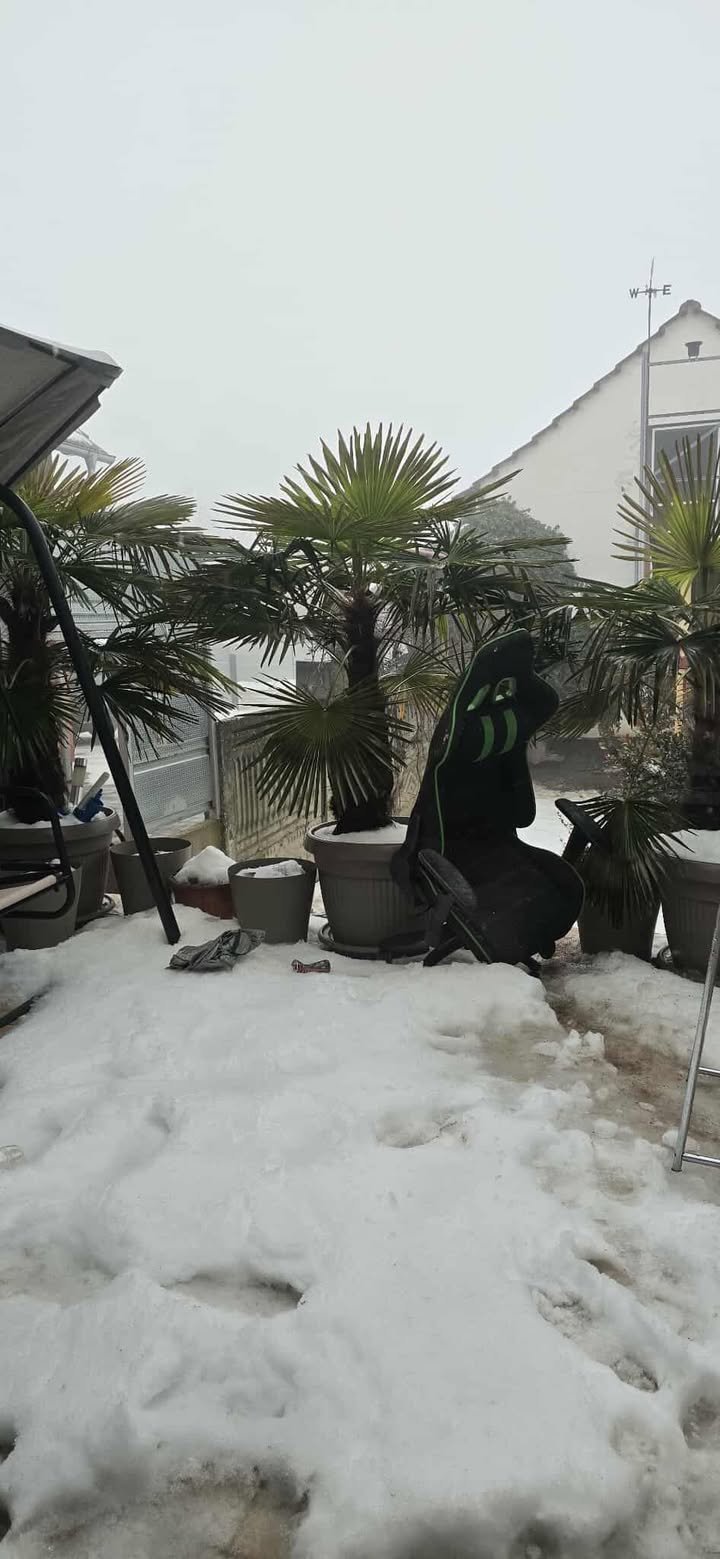 Potepanje (2) Potepanje (2)