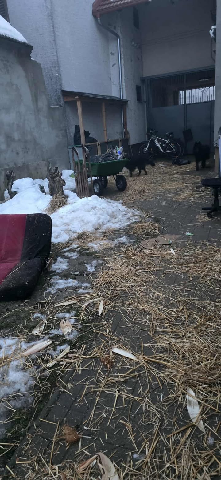 Potepanje (4) Potepanje (4)