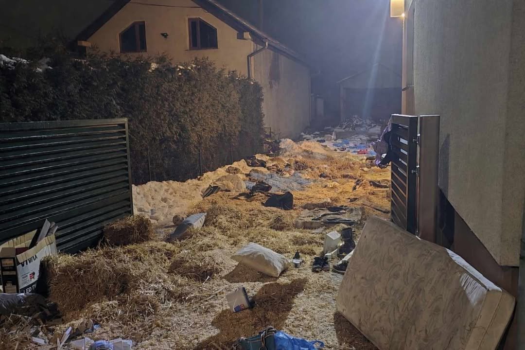 Potepanje (5) Potepanje (5)