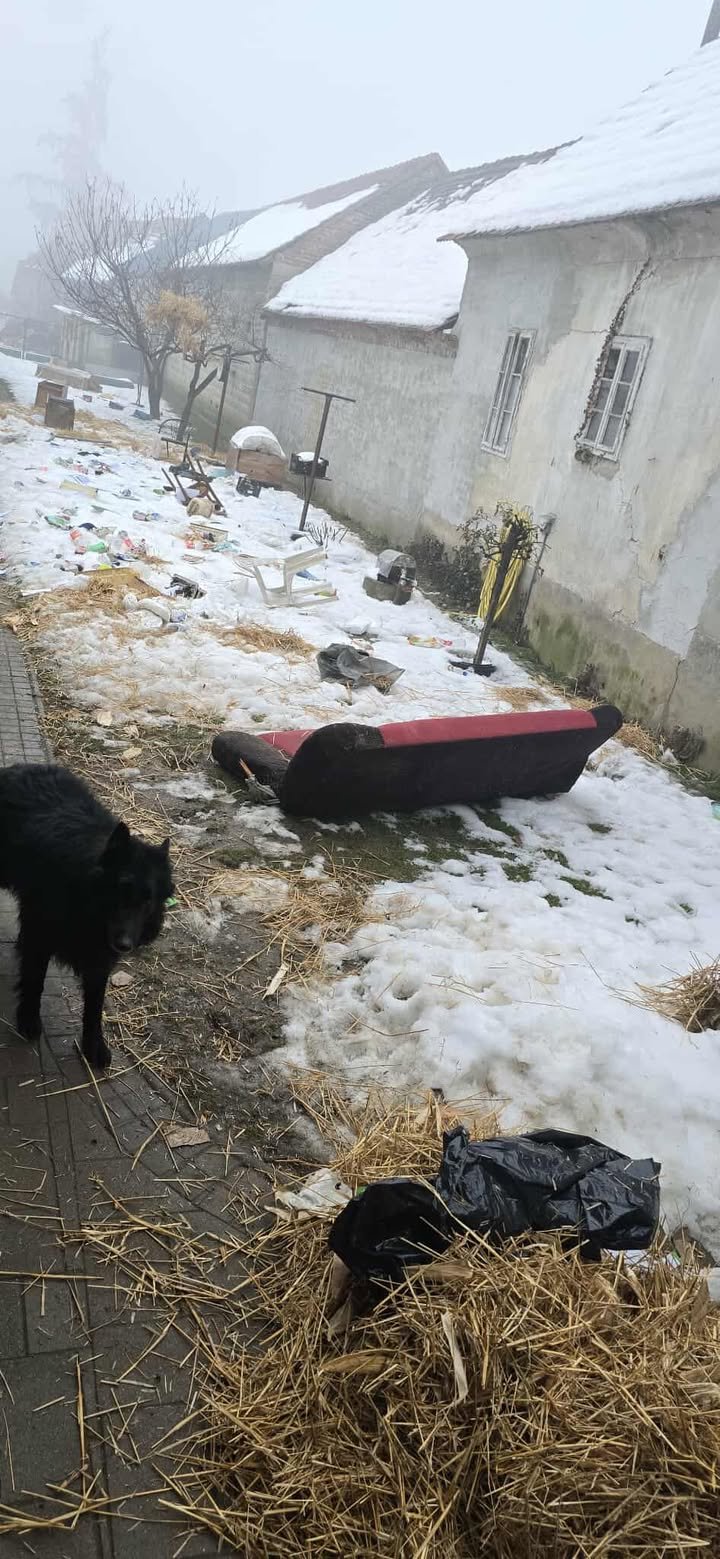 Potepanje (8) Potepanje (8)