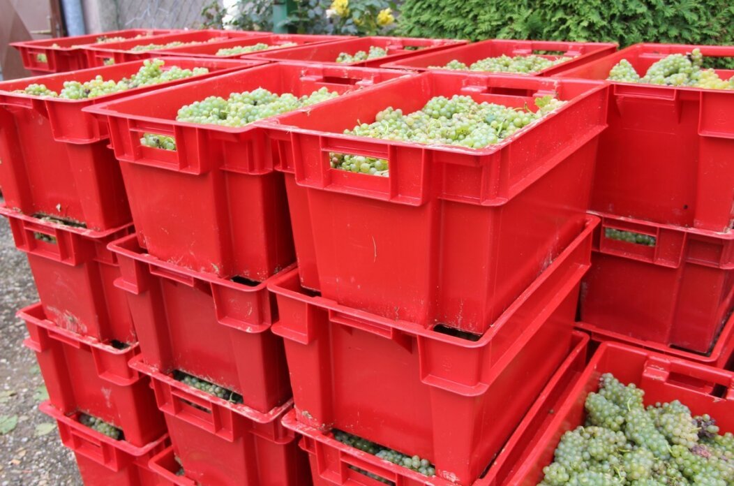 Potpore-u-poljoprivredi-6 Potpore-u-poljoprivredi-6