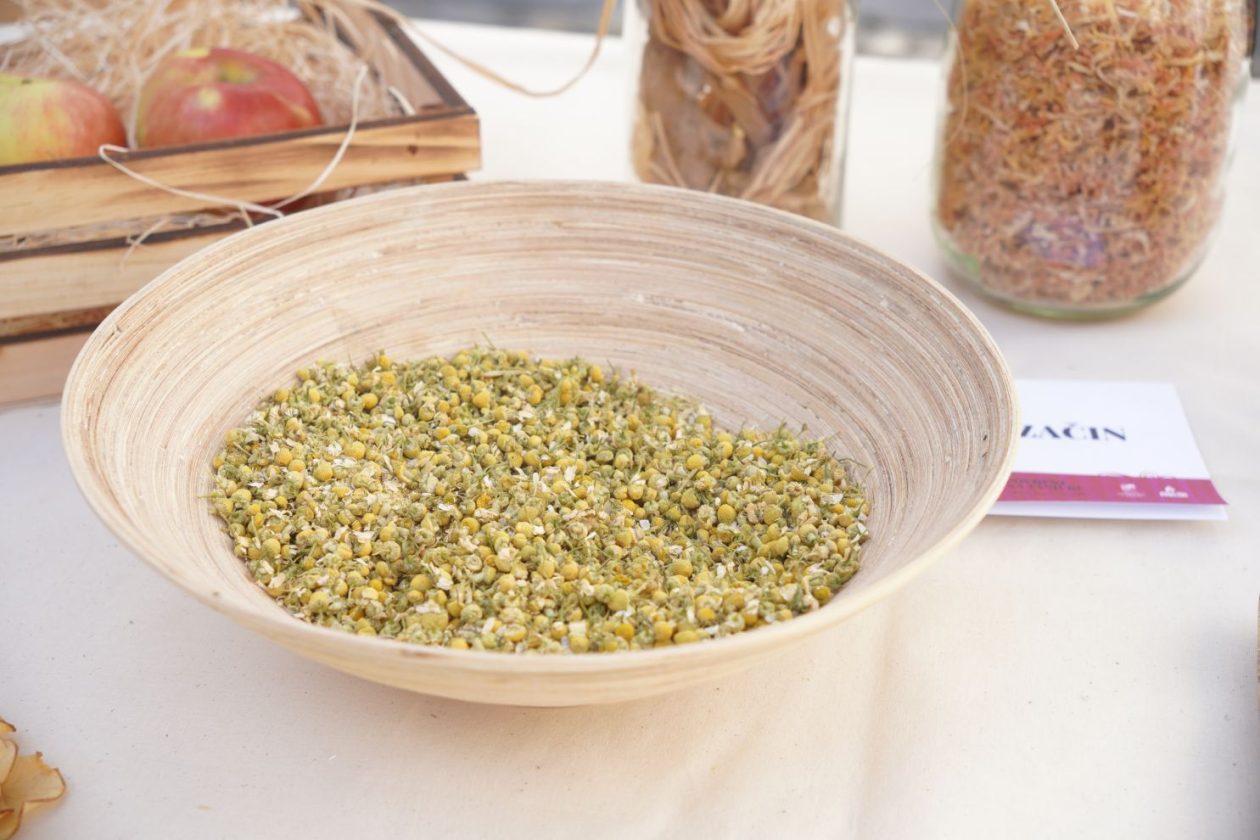 Povijest na tanjuru 2026 (12)