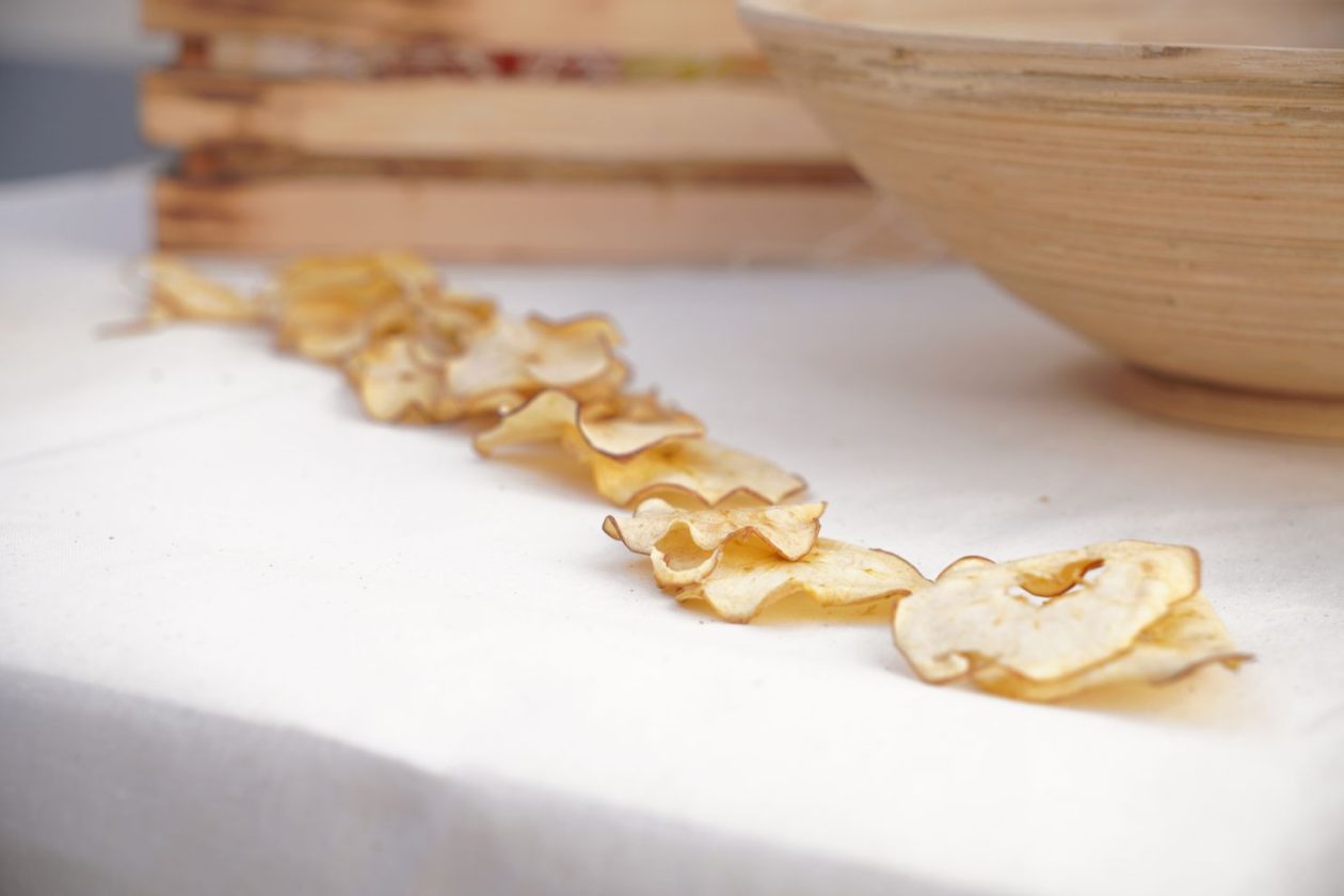 Povijest na tanjuru 2026 (13)