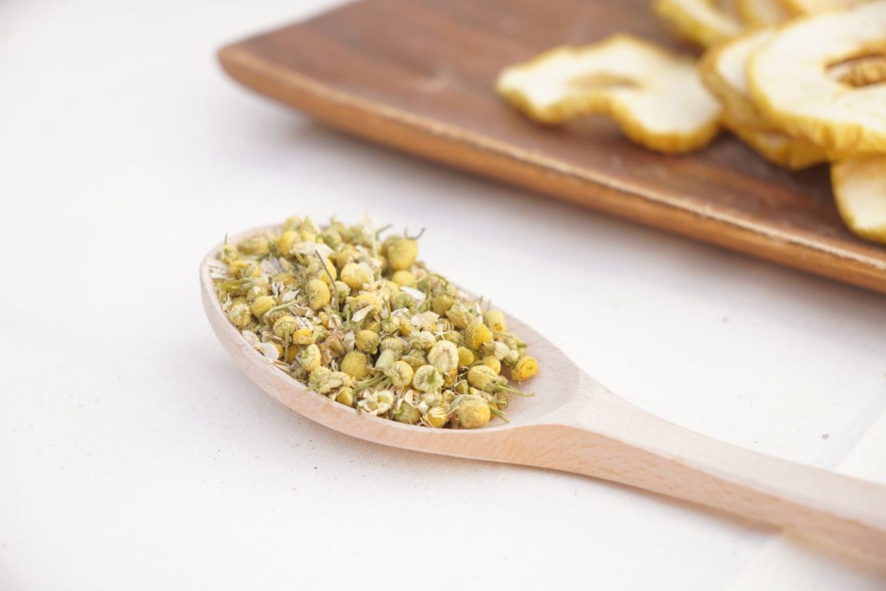 Povijest na tanjuru 2026 (14)