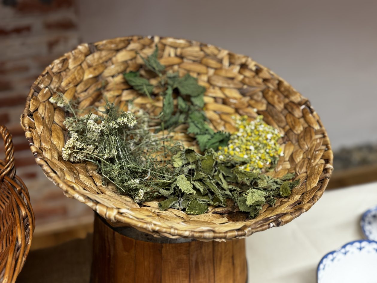 Povijest na tanjuru kuhinja Zrinskih radionica(24)