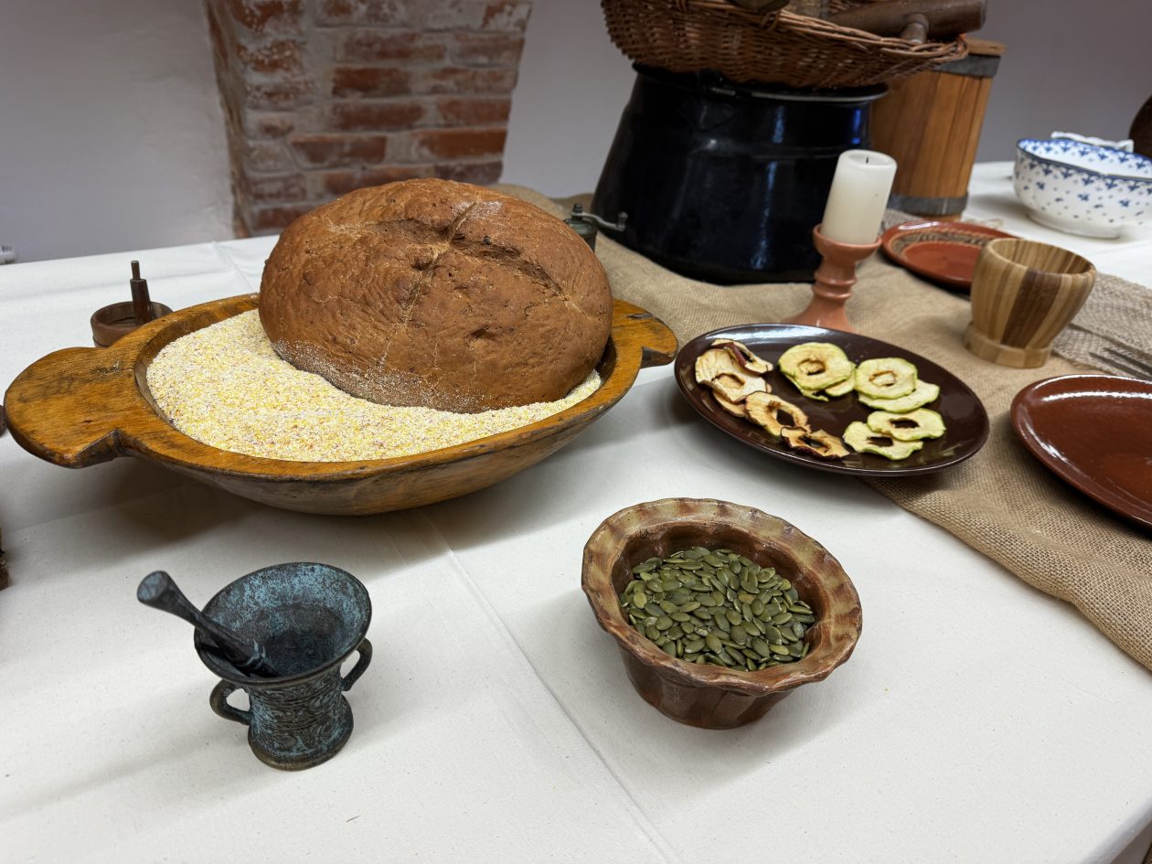 Povijest na tanjuru kuhinja Zrinskih radionica(7)