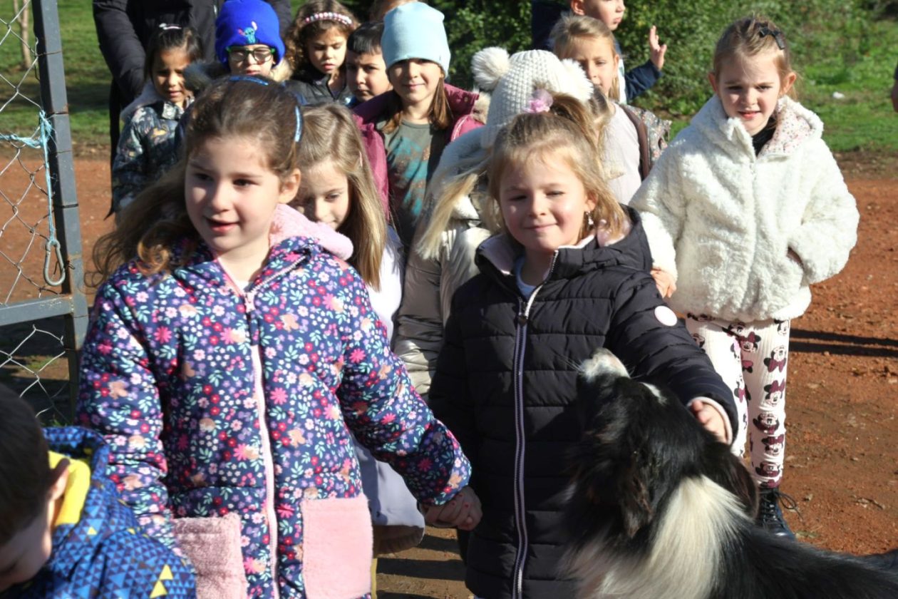 Predškolci iz ‘Potočnice’ posjetili farmu Saše Cirkvenčića i upoznali domaće životinje (1)