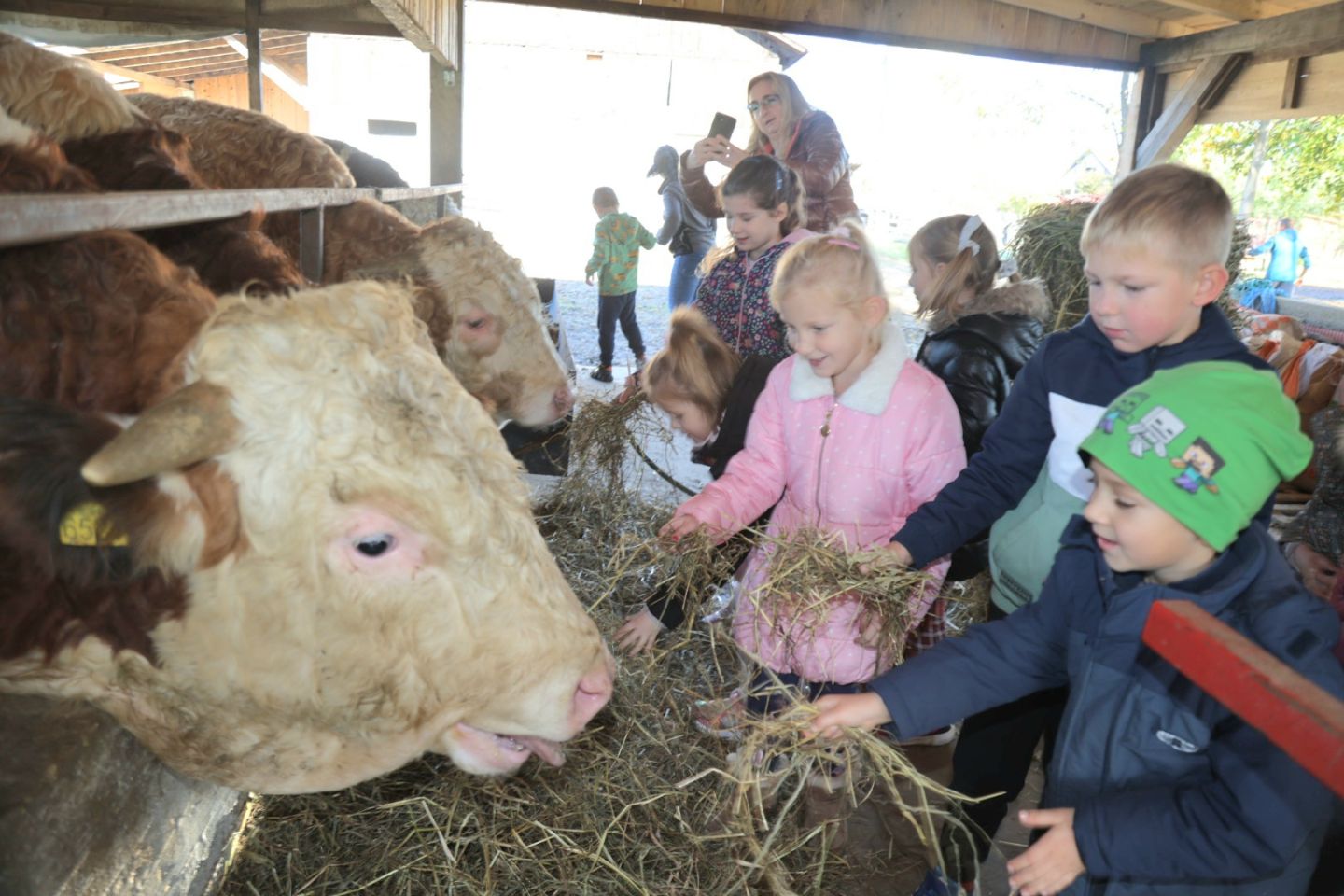 Predškolci iz ‘Potočnice’ posjetili farmu Saše Cirkvenčića i upoznali domaće životinje (10)