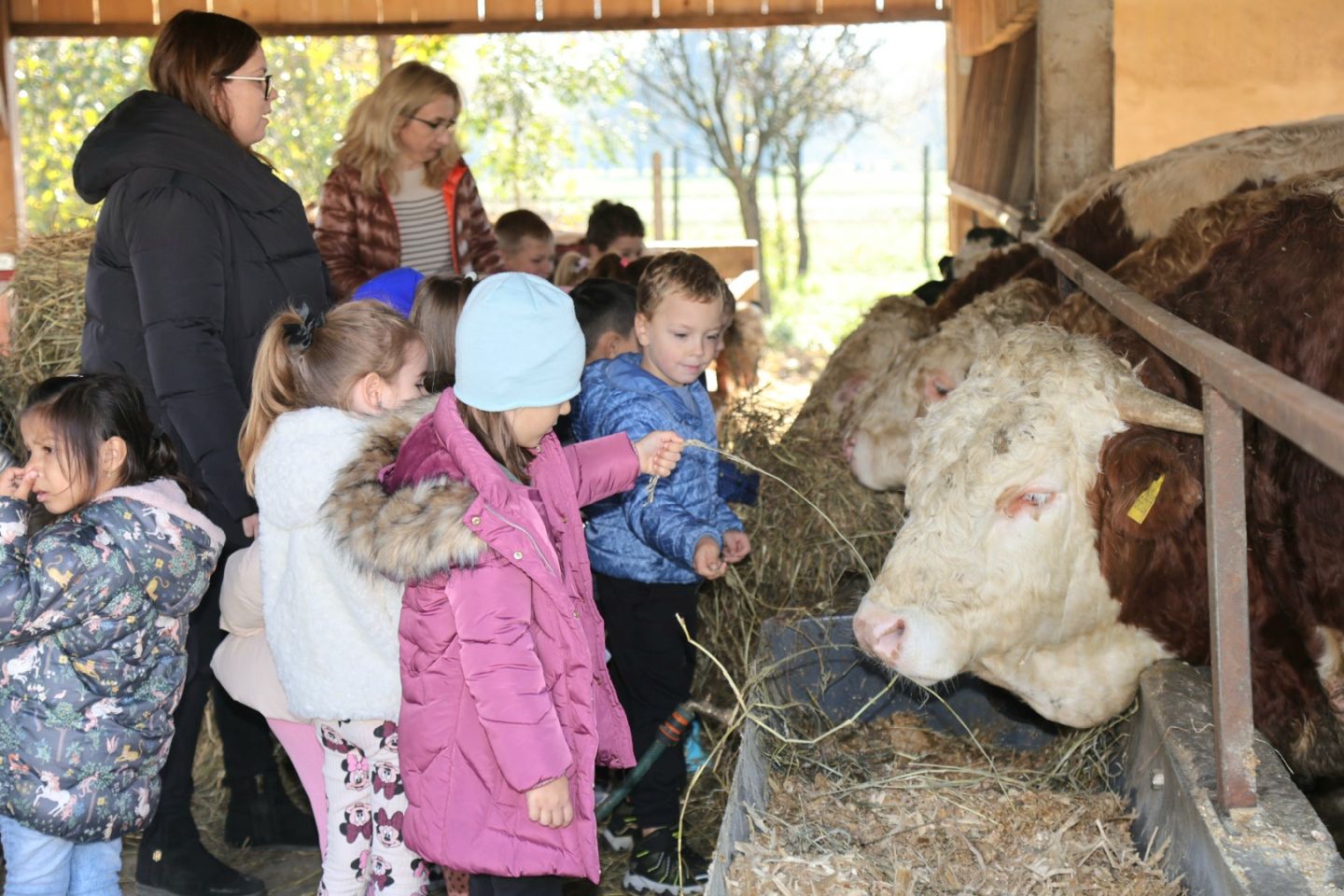 Predškolci iz ‘Potočnice’ posjetili farmu Saše Cirkvenčića i upoznali domaće životinje (14)