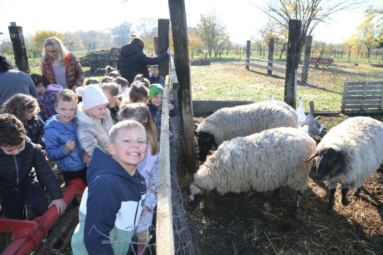 Predškolci iz ‘Potočnice’ posjetili farmu Saše Cirkvenčića i upoznali domaće životinje (19)