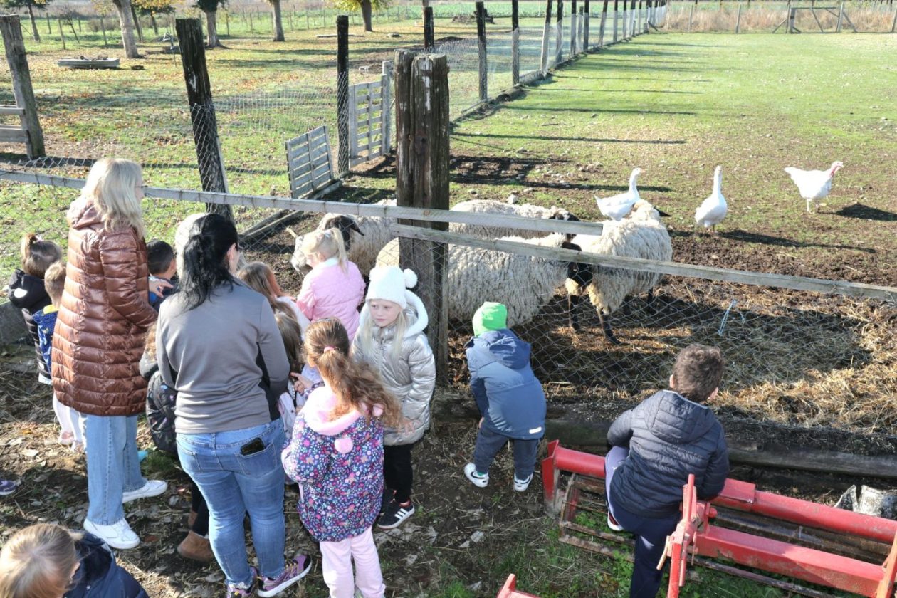 Predškolci iz ‘Potočnice’ posjetili farmu Saše Cirkvenčića i upoznali domaće životinje (20)