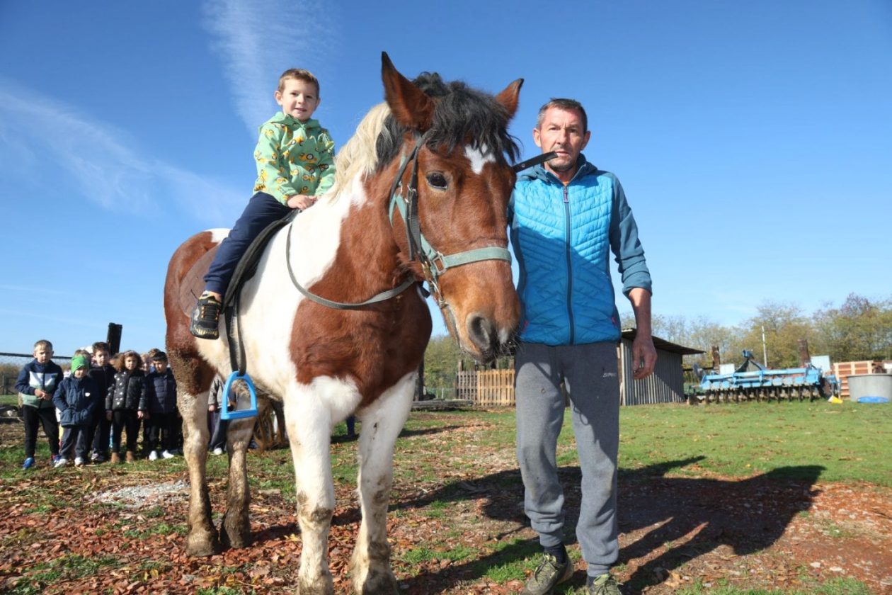 Predškolci iz ‘Potočnice’ posjetili farmu Saše Cirkvenčića i upoznali domaće životinje (21)