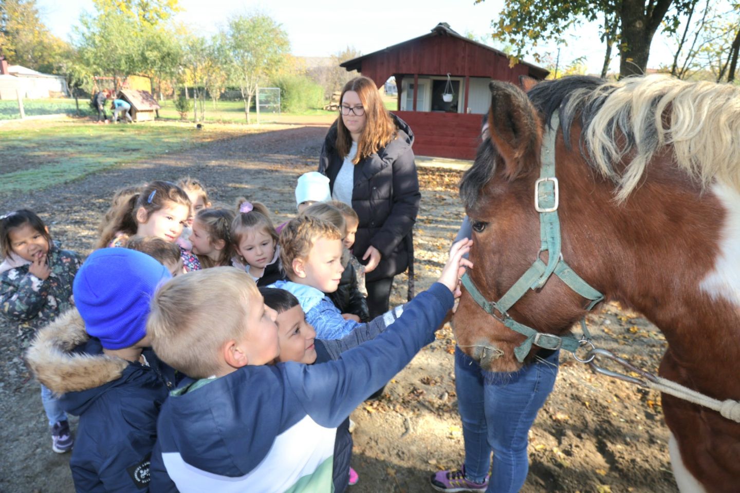 Predškolci iz ‘Potočnice’ posjetili farmu Saše Cirkvenčića i upoznali domaće životinje (3)