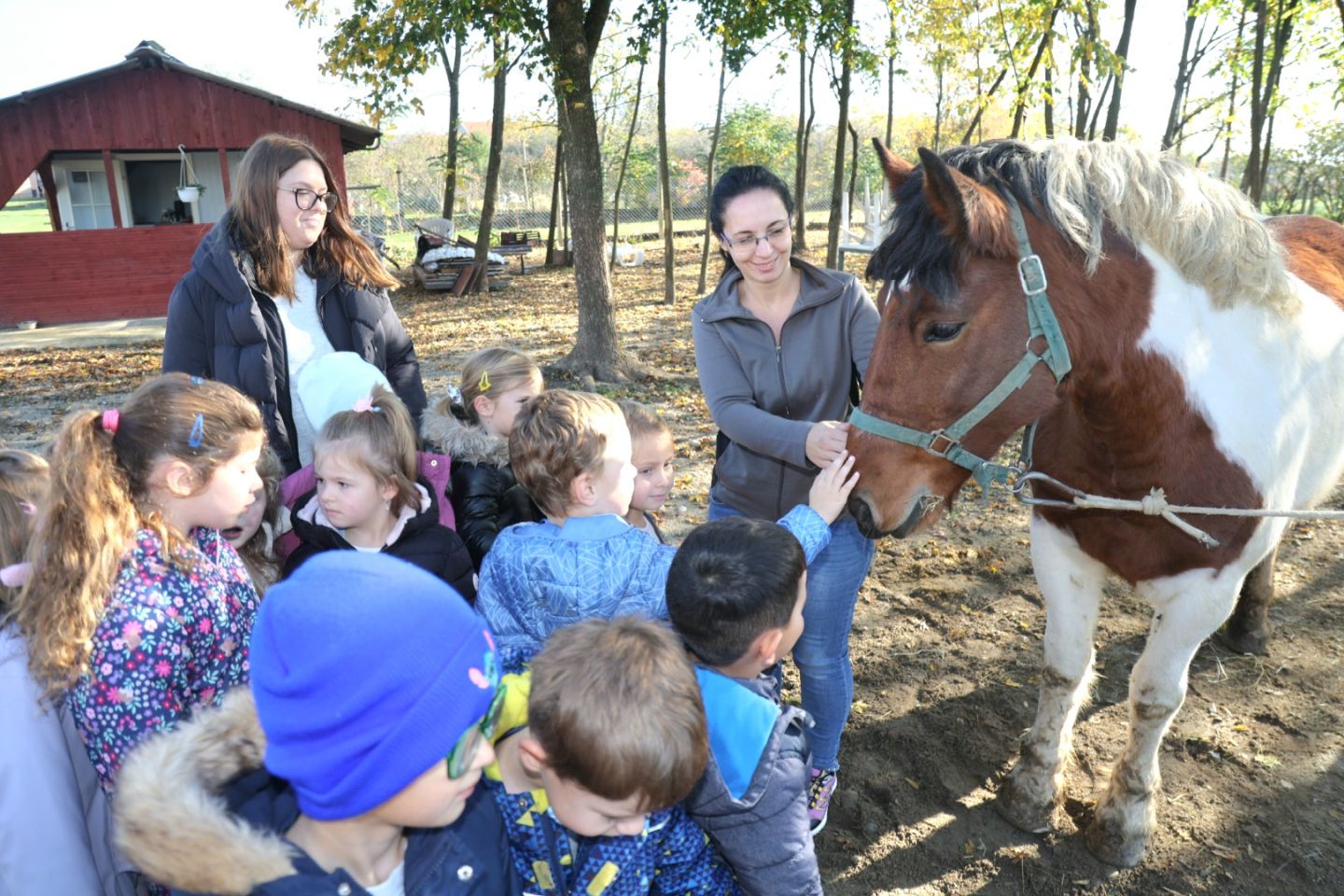 Predškolci iz ‘Potočnice’ posjetili farmu Saše Cirkvenčića i upoznali domaće životinje (4)