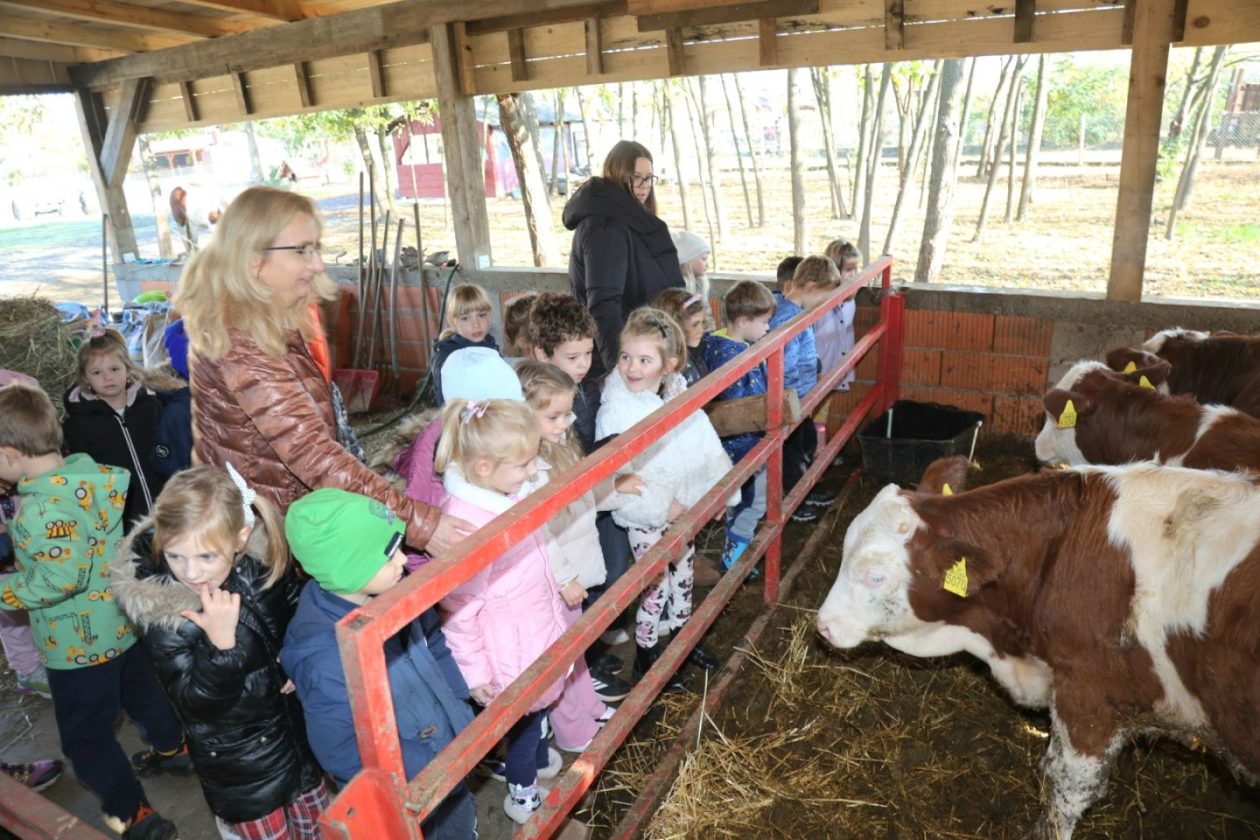 Predškolci iz ‘Potočnice’ posjetili farmu Saše Cirkvenčića i upoznali domaće životinje (9)