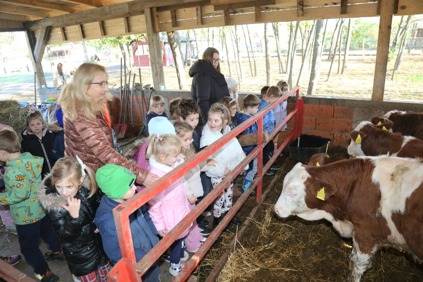 Predškolci iz ‘Potočnice’ posjetili farmu Saše Cirkvenčića i upoznali domaće životinje (9)