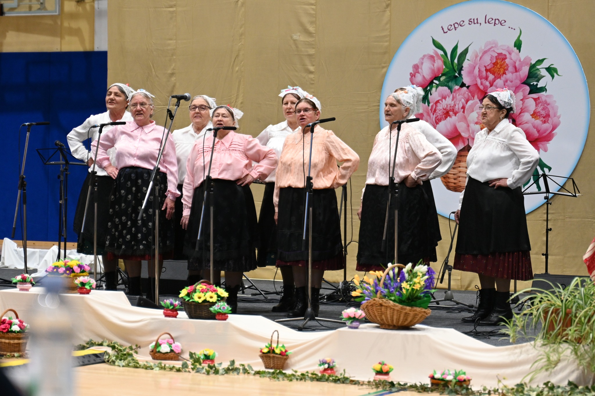 Predsmotra Međimurske popevke Donji Kraljevec 2025 (11) Predsmotra Međimurske popevke Donji Kraljevec 2025 (11)