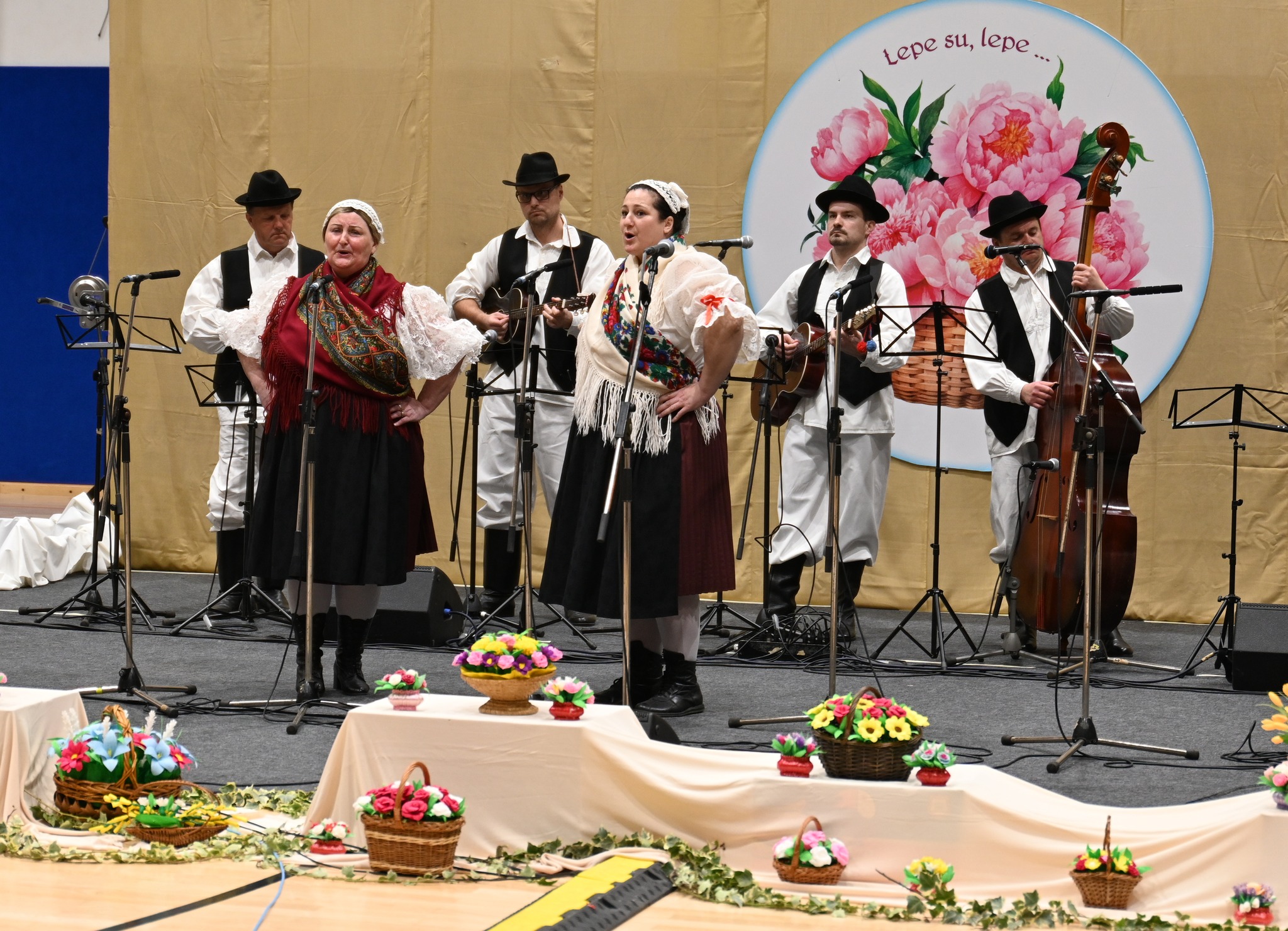 Predsmotra Međimurske popevke Donji Kraljevec 2025 (20) Predsmotra Međimurske popevke Donji Kraljevec 2025 (20)