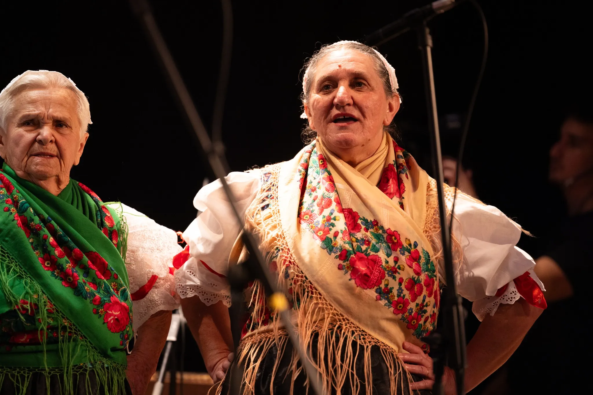 Predsmotra međimurske popevke u Murskom Središću (18) Predsmotra međimurske popevke u Murskom Središću (18)