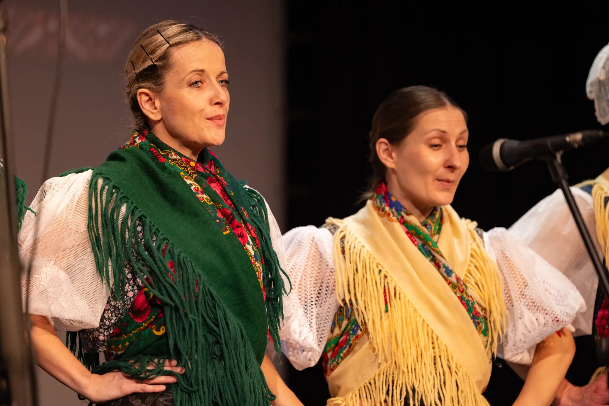 Predsmotra međimurske popevke u Murskom Središću (20) Predsmotra međimurske popevke u Murskom Središću (20)