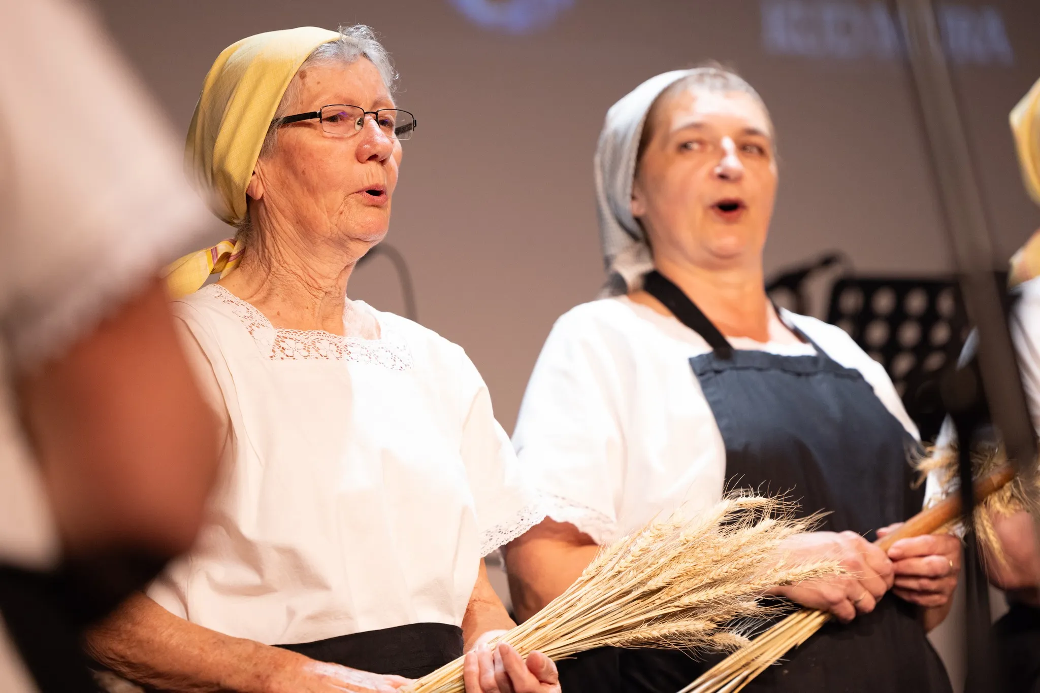 Predsmotra međimurske popevke u Murskom Središću (22) Predsmotra međimurske popevke u Murskom Središću (22)