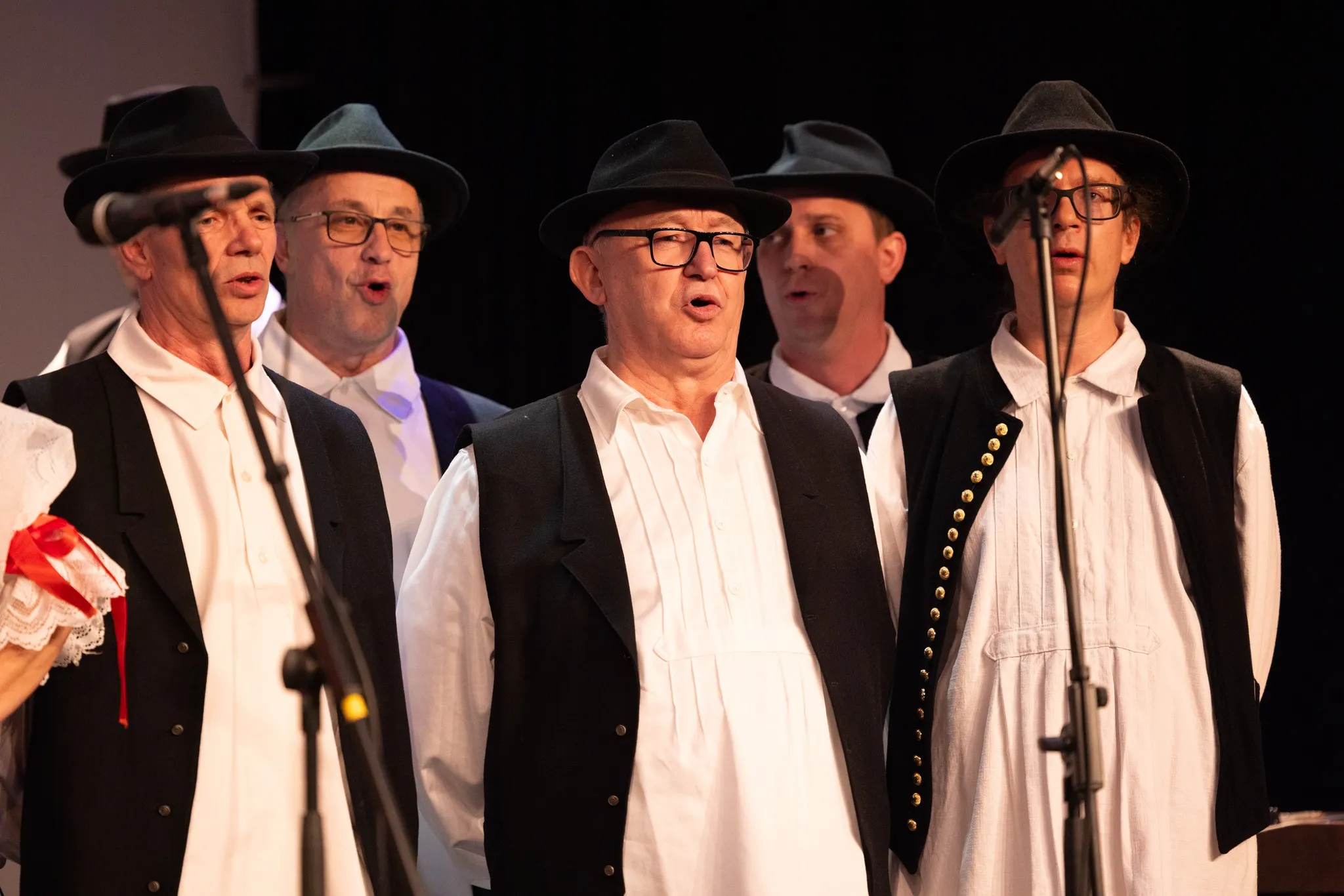 Predsmotra međimurske popevke u Murskom Središću (43) Predsmotra međimurske popevke u Murskom Središću (43)