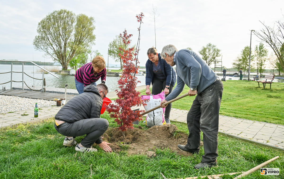 Prelog Marina Nautički klub Labud Činiti dobro čistka (1)