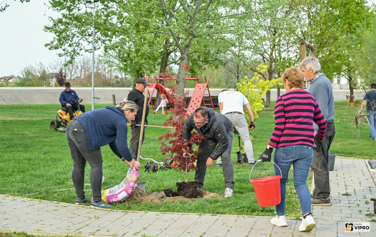 Prelog Marina Nautički klub Labud Činiti dobro čistka (1)