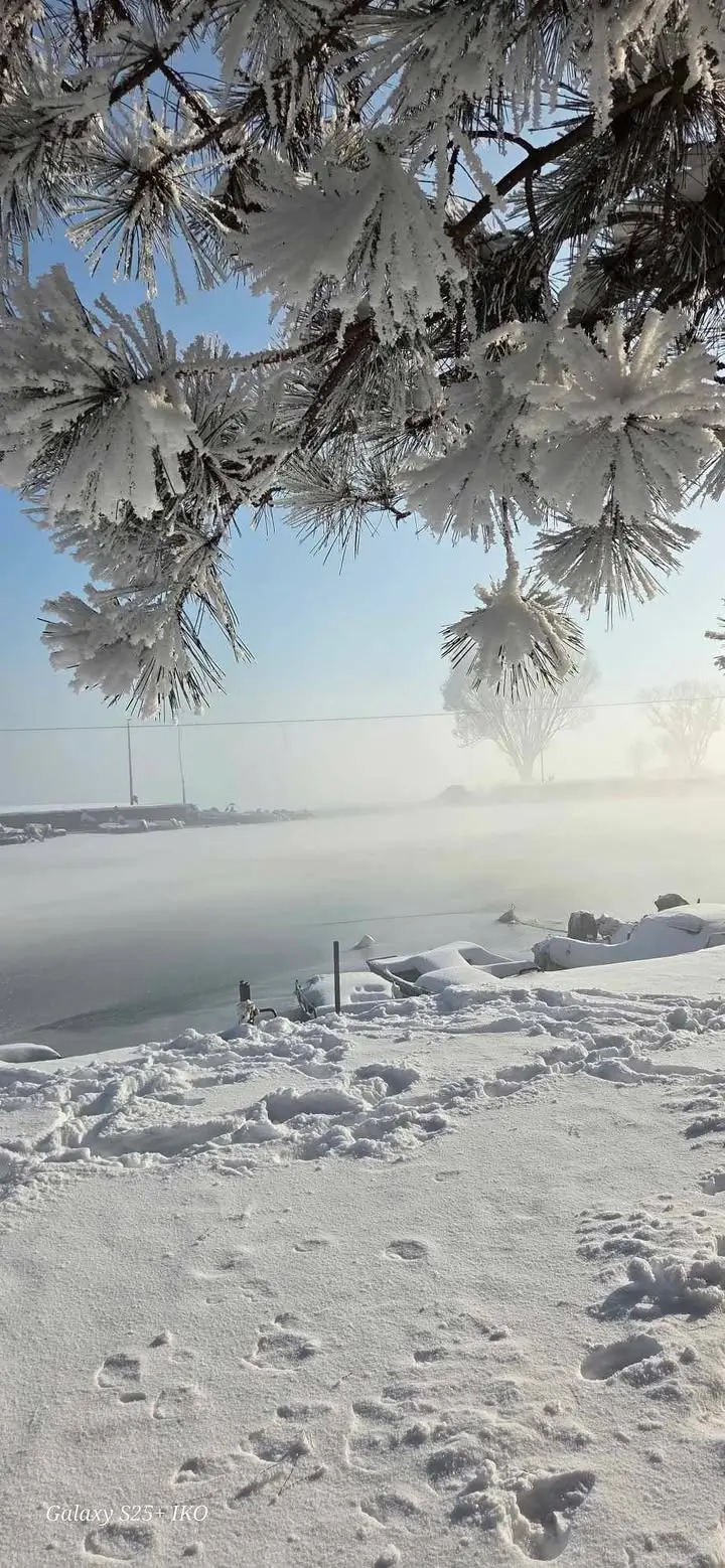 Prelog Marina snijeg (11) Prelog Marina snijeg (11)