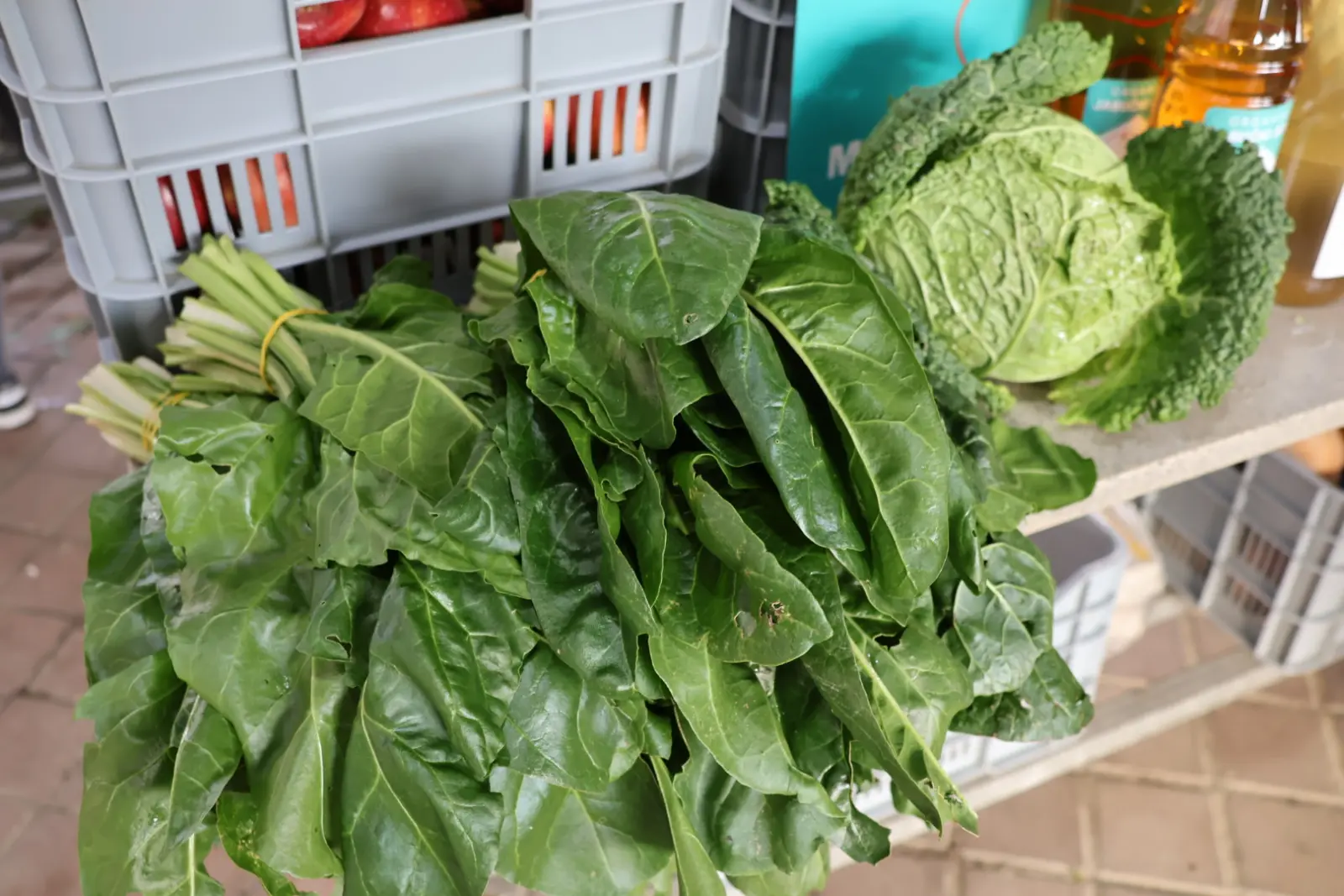 Prelog, Tržnica, 25.10.2025 (36) Prelog, Tržnica, 25.10.2025 (36)