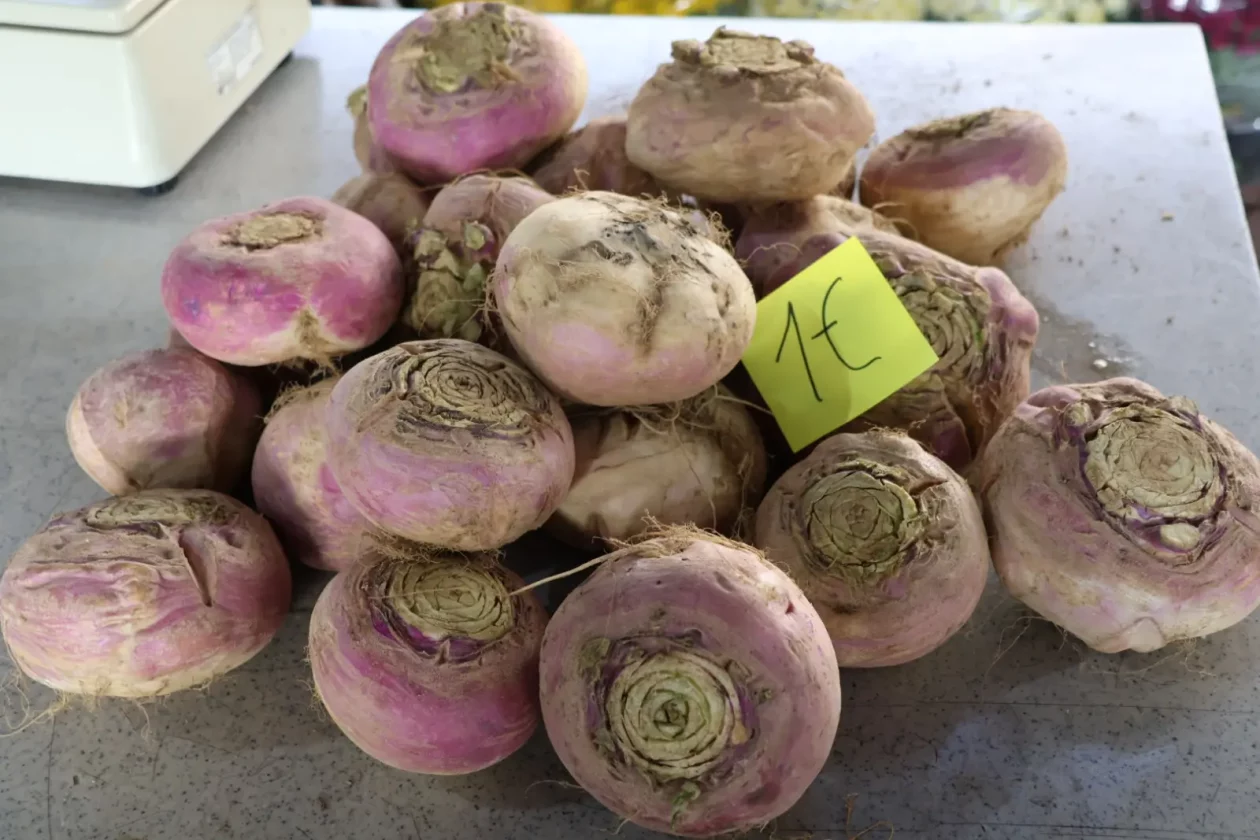 Prelog, Tržnica, 25.10.2025 (38)