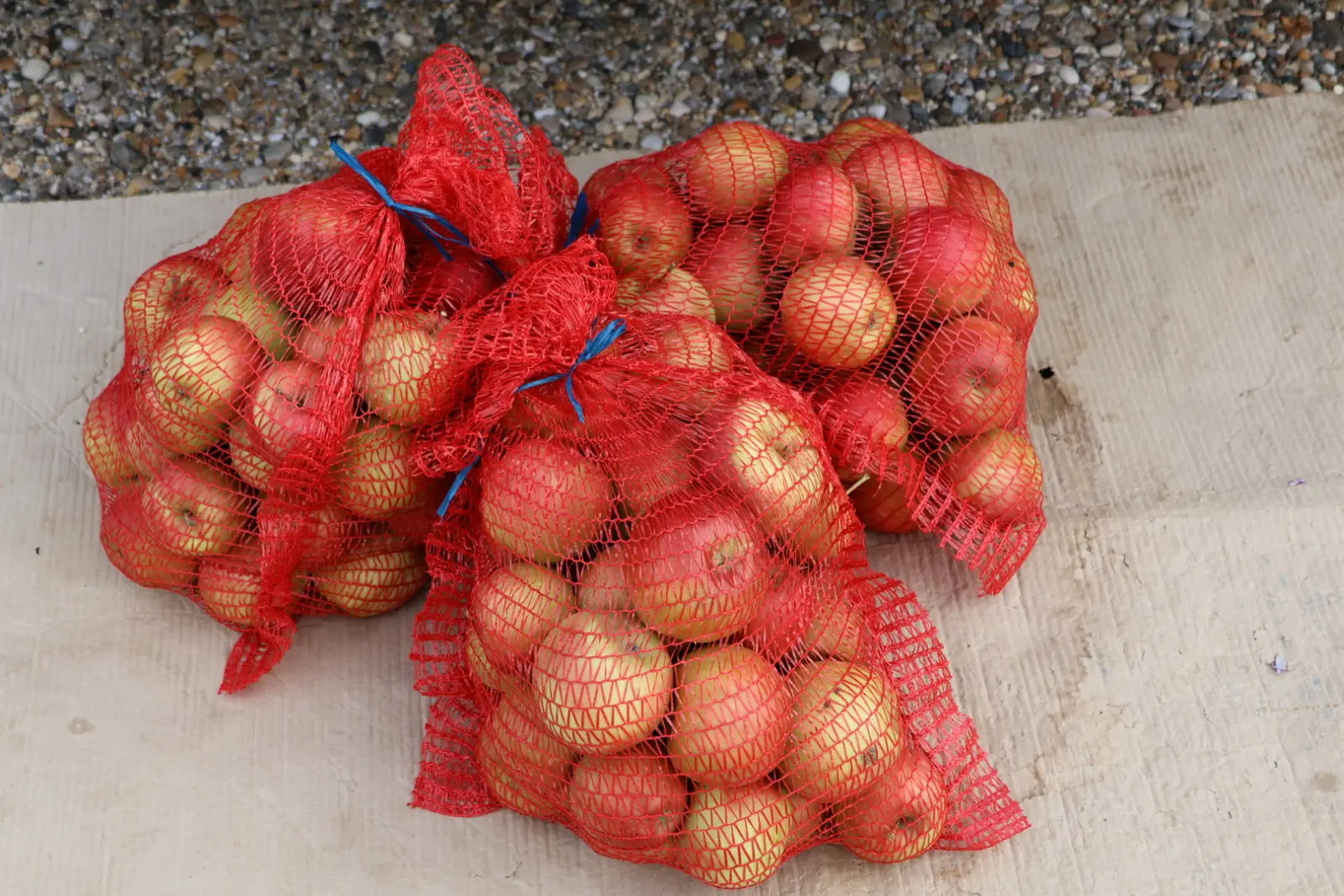 Prelog, Tržnica, 25.10.2025 (5) Prelog, Tržnica, 25.10.2025 (5)