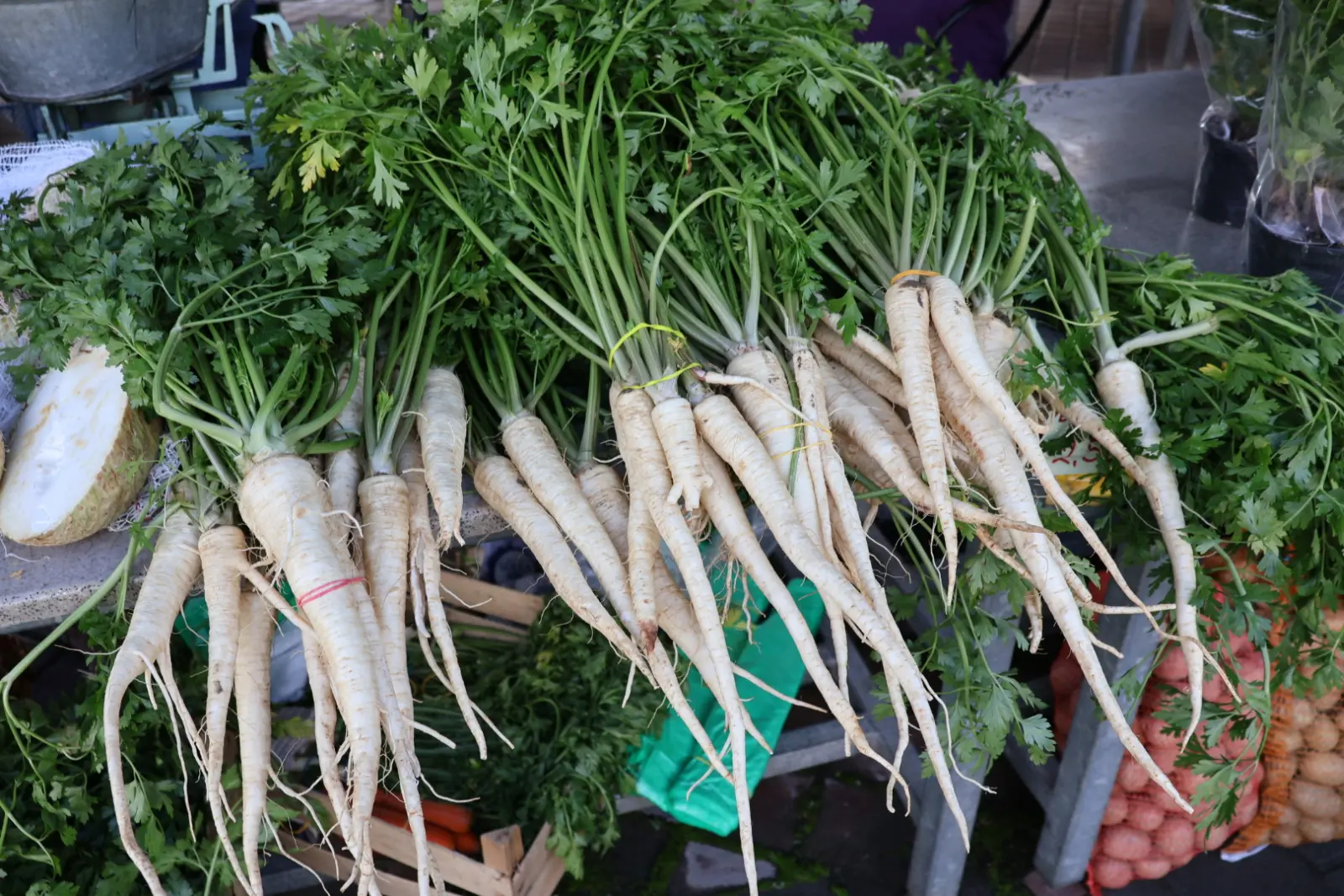 Prelog, Tržnica, 25.10.2025 (52) Prelog, Tržnica, 25.10.2025 (52)