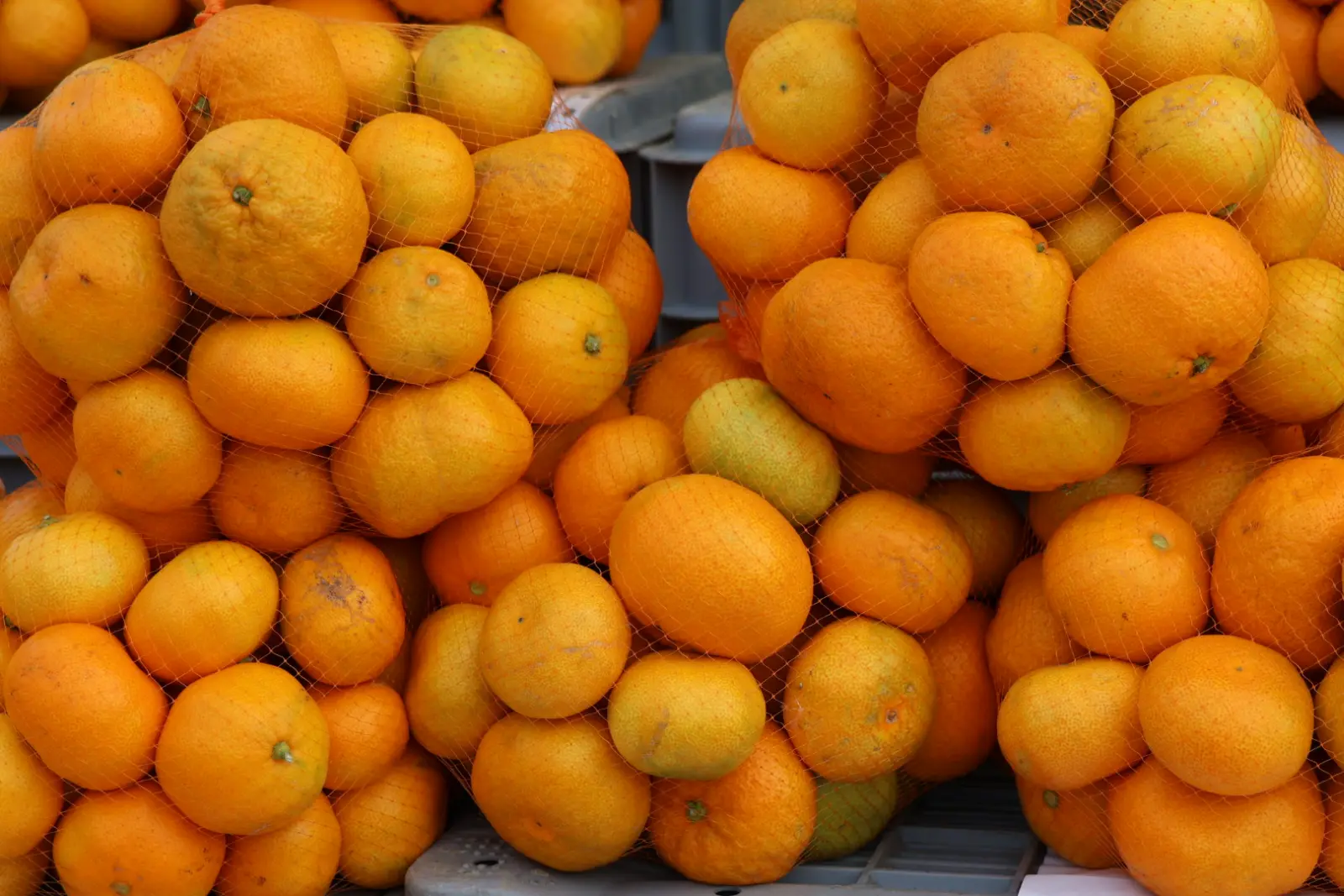 Prelog, Tržnica, 25.10.2025 (7) Prelog, Tržnica, 25.10.2025 (7)