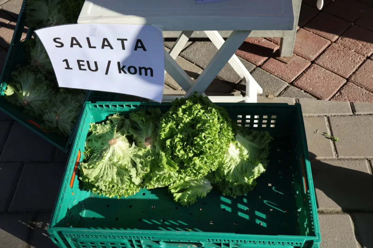 Prelog, tržnica, 7.3.2026 (17)