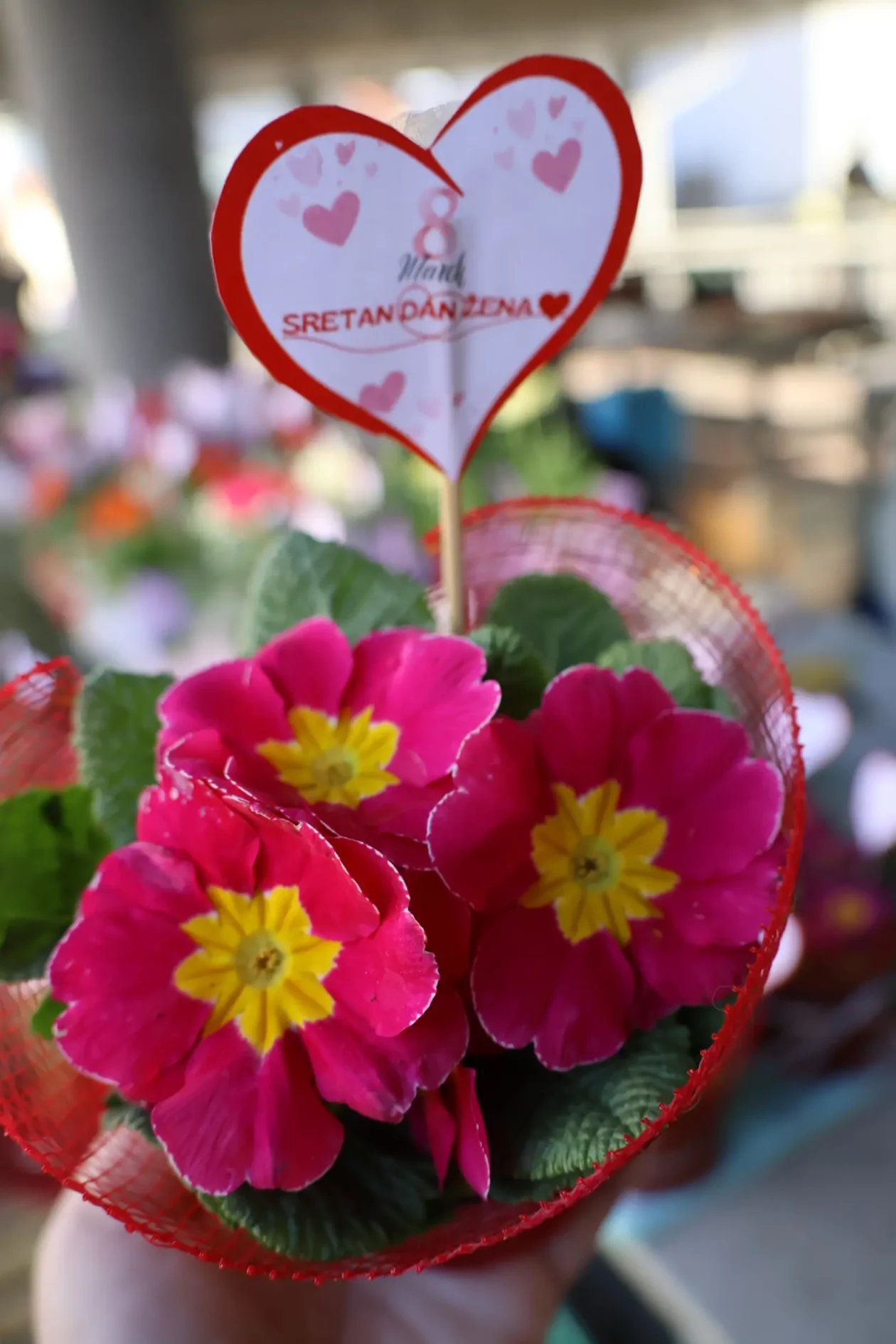 Prelog, tržnica, 7.3.2026 (49)