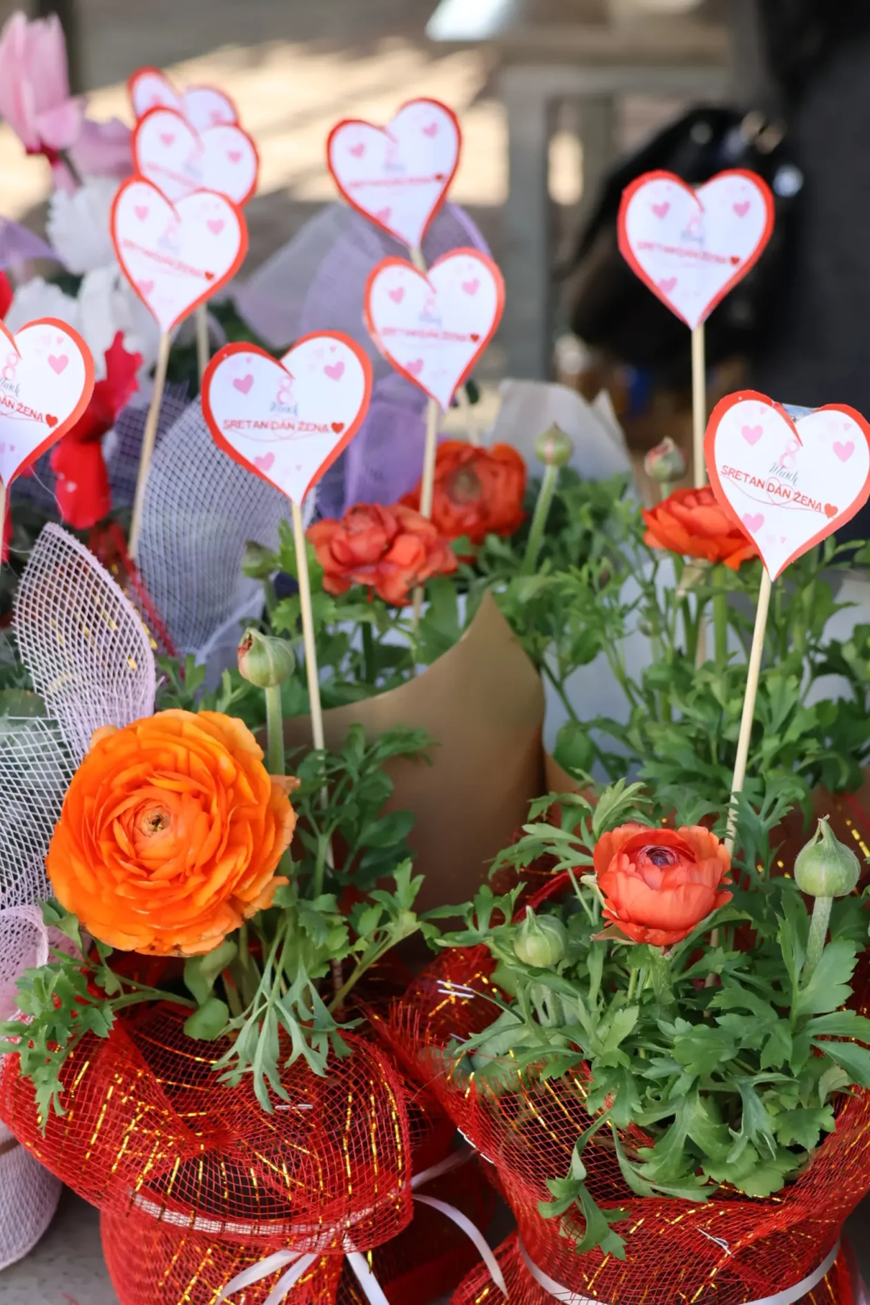 Prelog, tržnica, 7.3.2026 (53) Prelog, tržnica, 7.3.2026 (53)