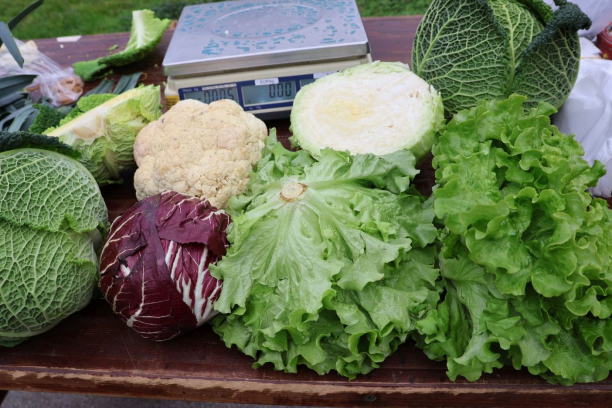 Preloška tržnica 29.11 (22)