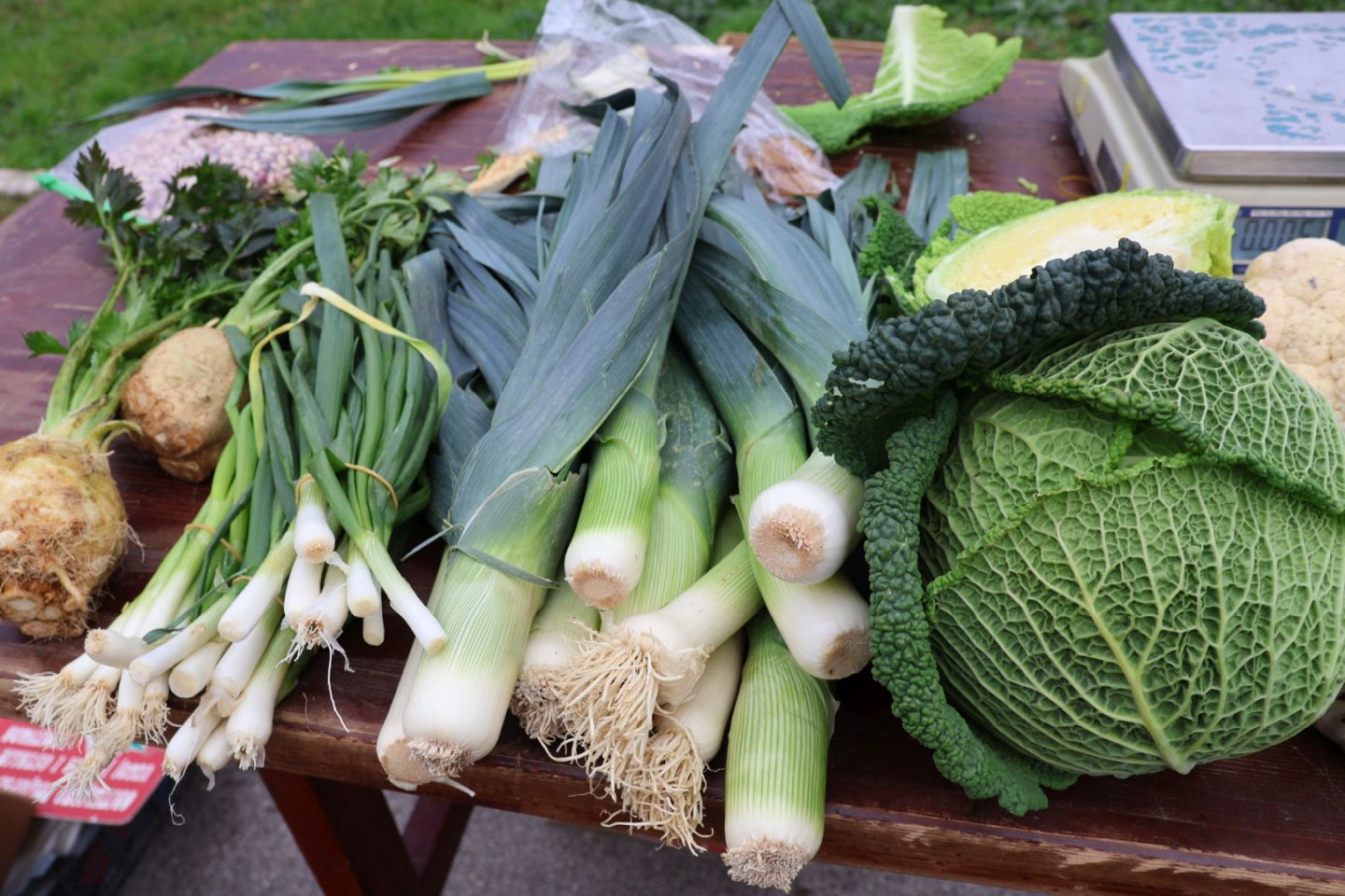 Preloška tržnica 29.11 (23)