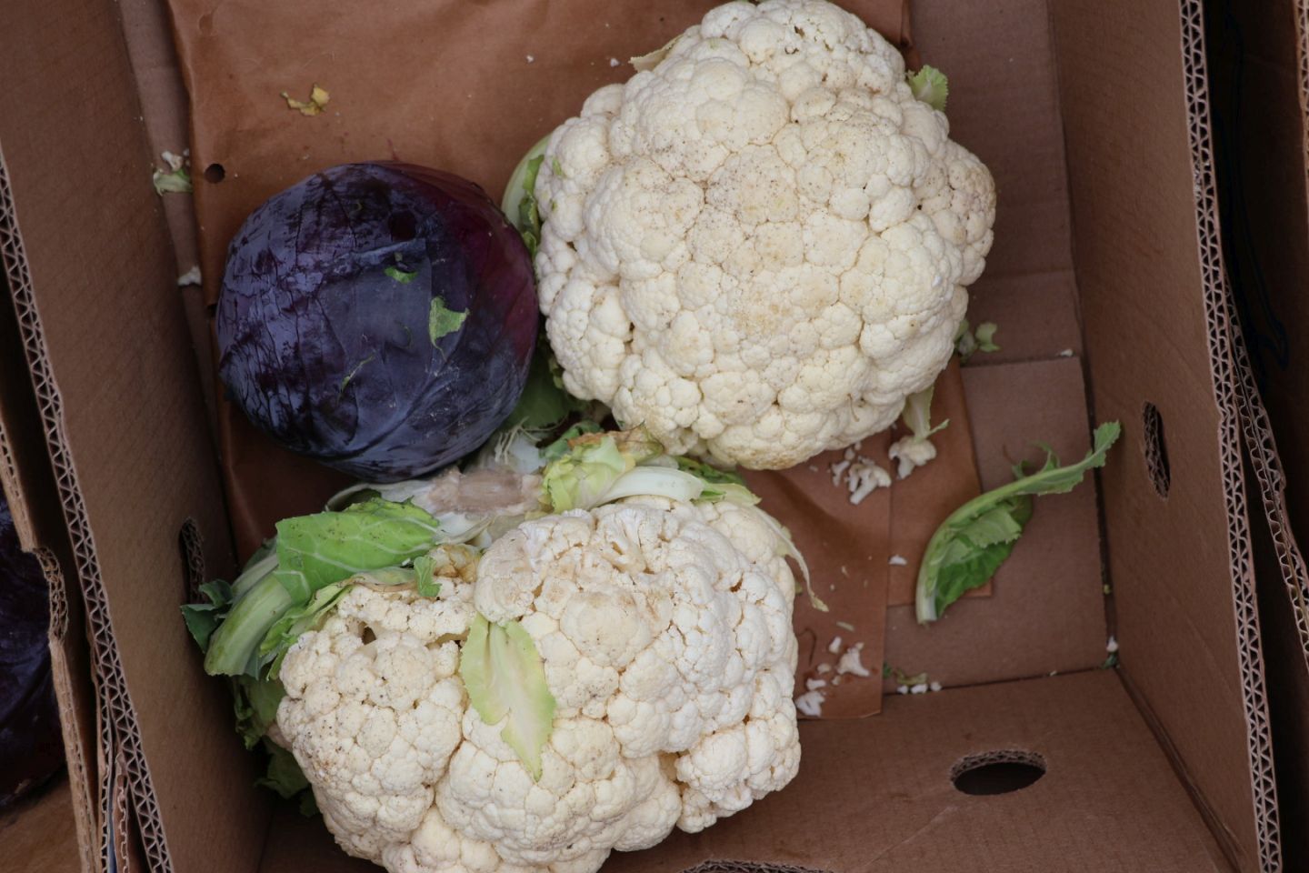 Preloška tržnica 29.11 (25)