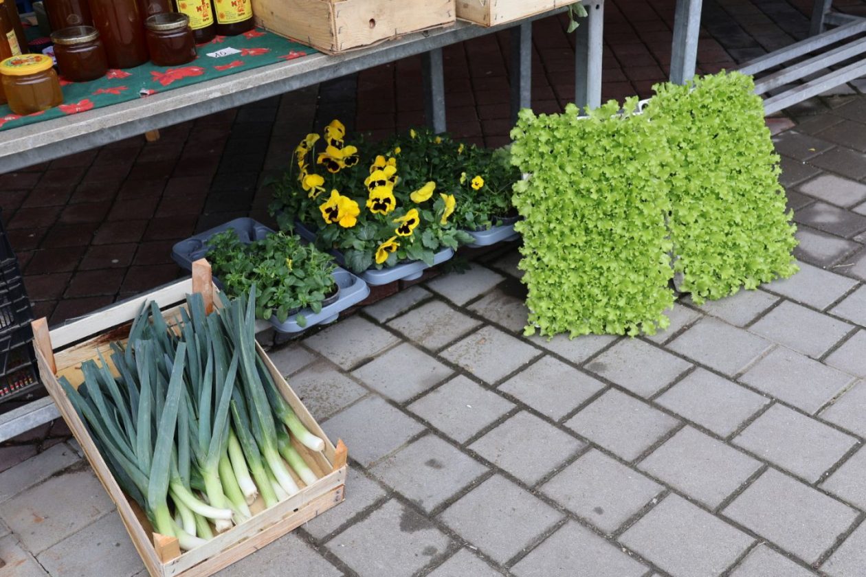 Preloška tržnica 29.11 (31)