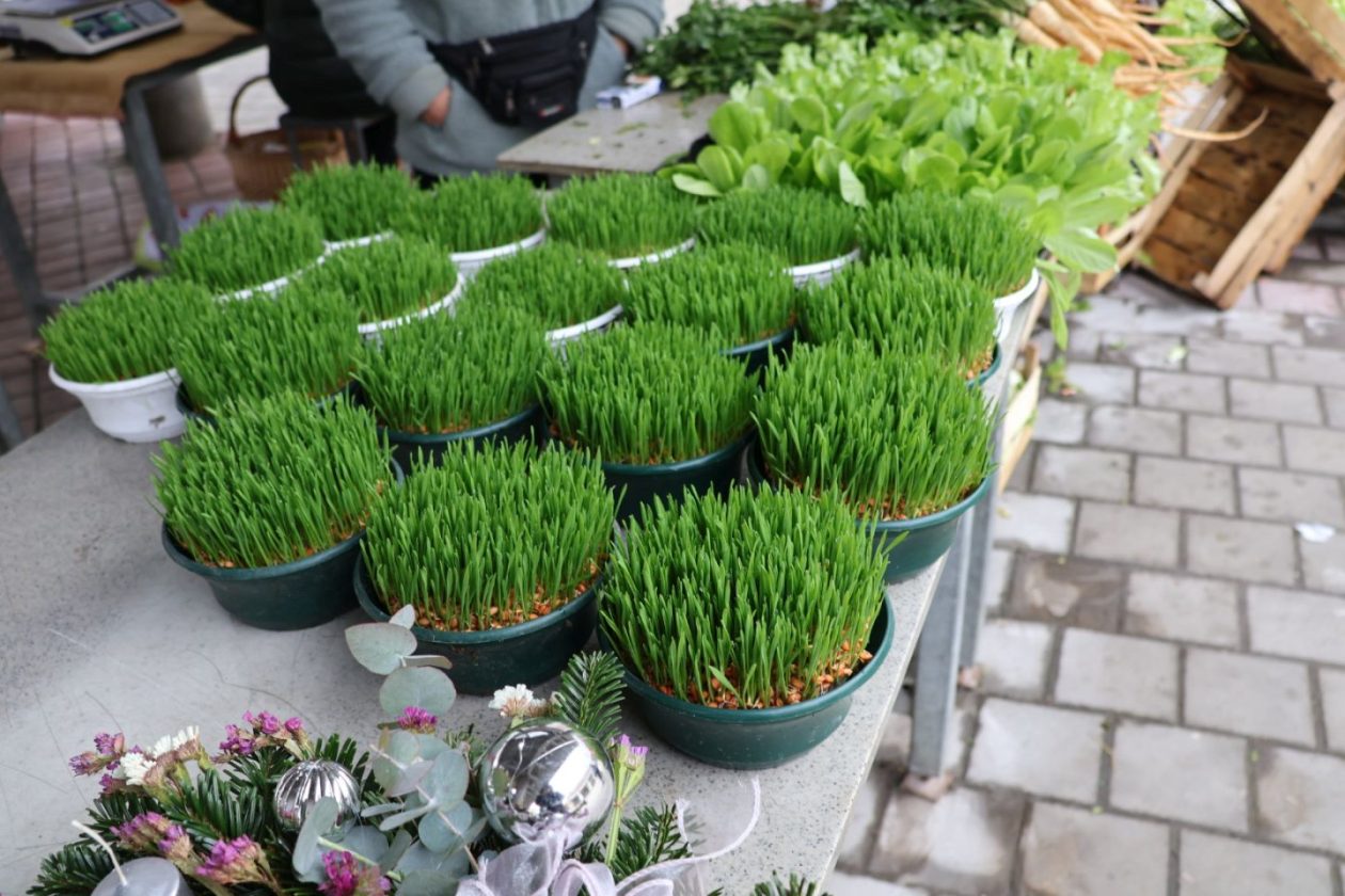 Preloška tržnica 29.11 (44)