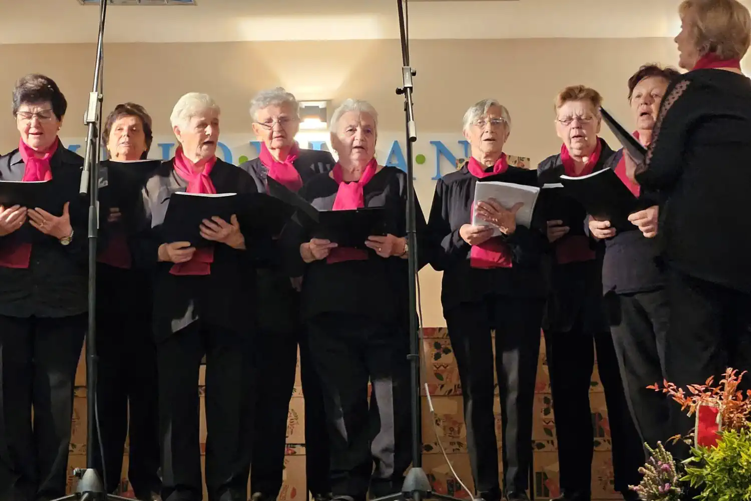 Premijerni ‘Advent u Mihovljanu’ okupio mještane i obitelj u zajedničkom duhu blagdana (11)