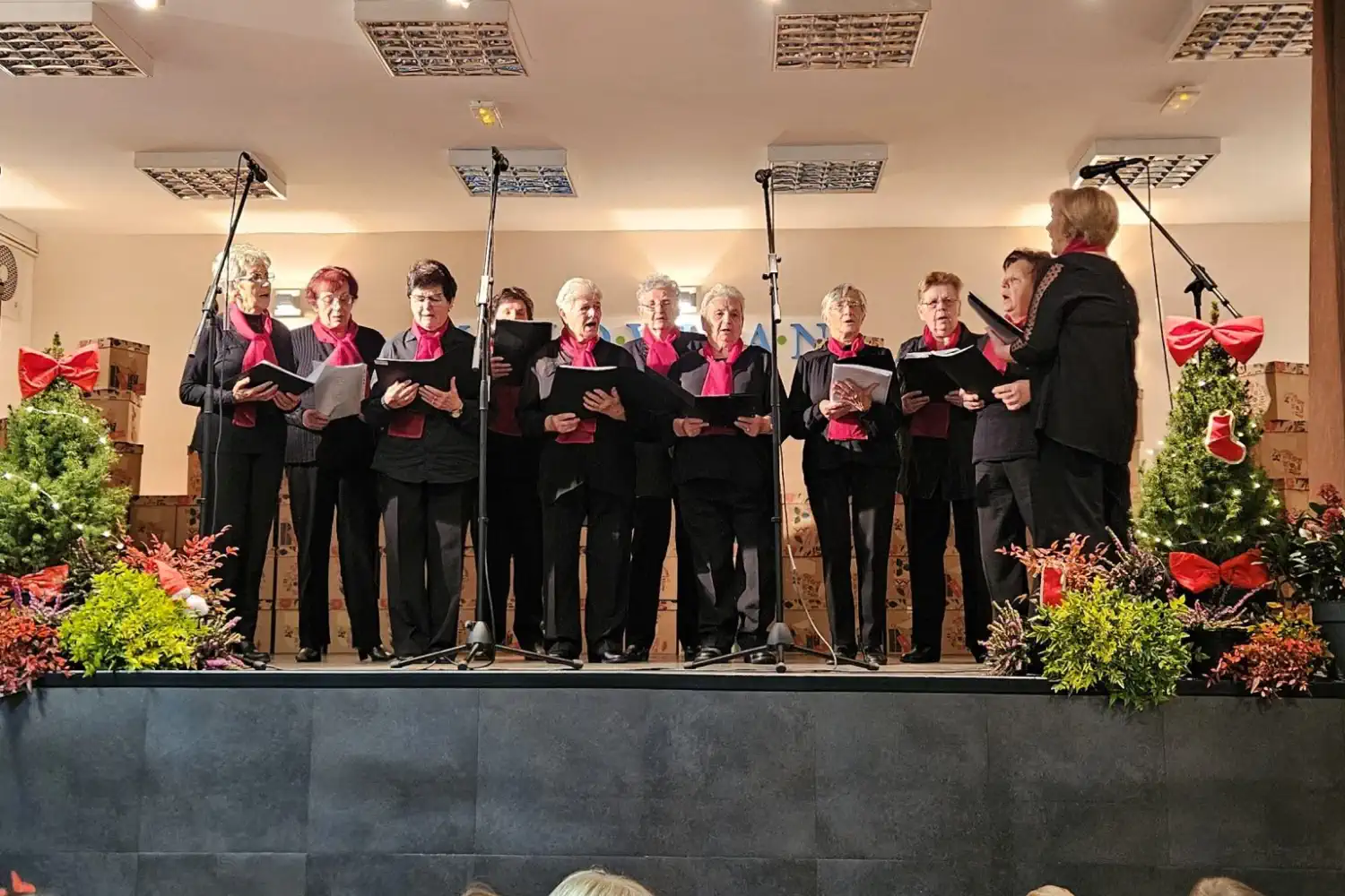 Premijerni ‘Advent u Mihovljanu’ okupio mještane i obitelj u zajedničkom duhu blagdana (13)