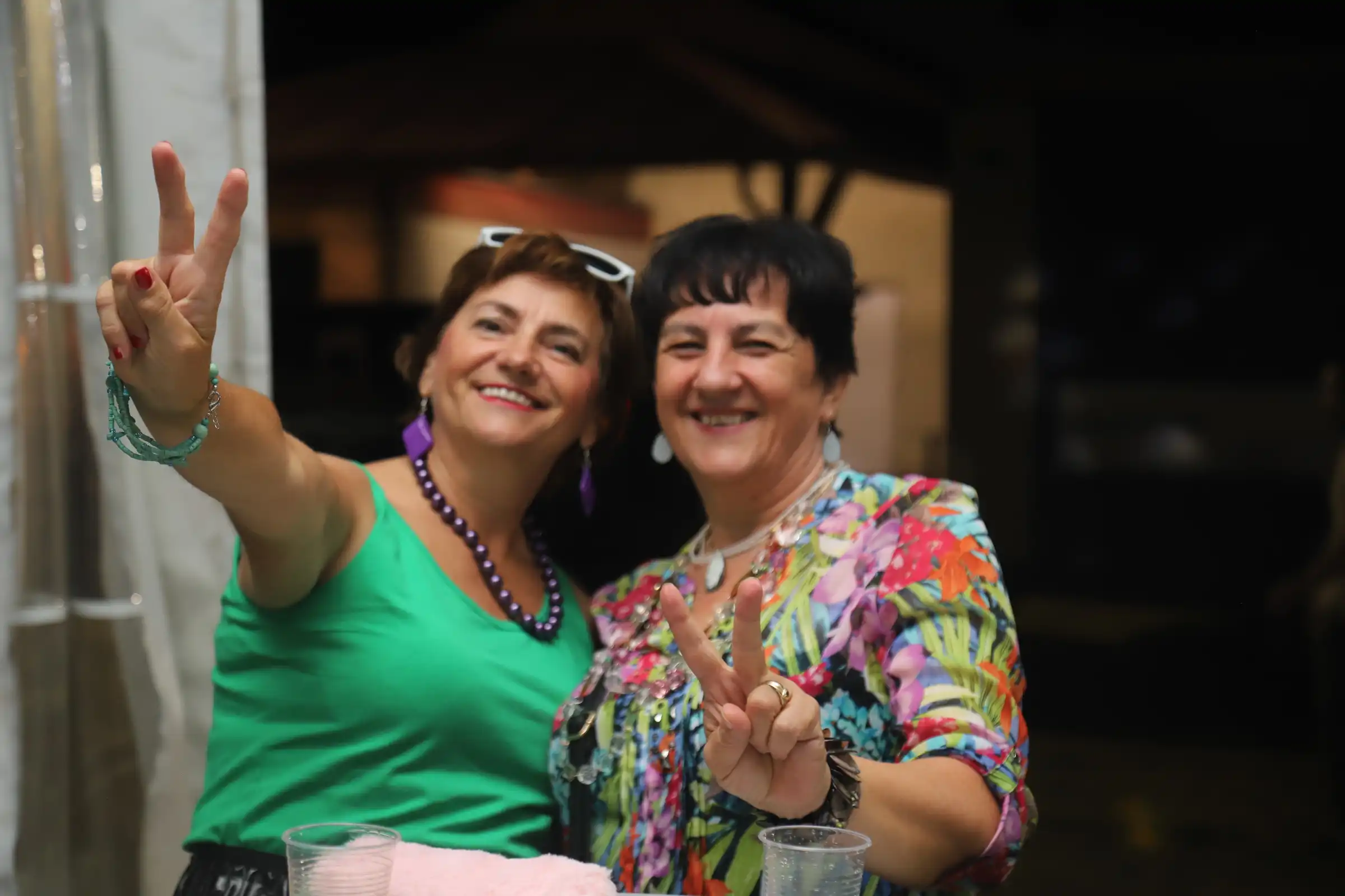 Pribislavec party (12) Pribislavec party (12)