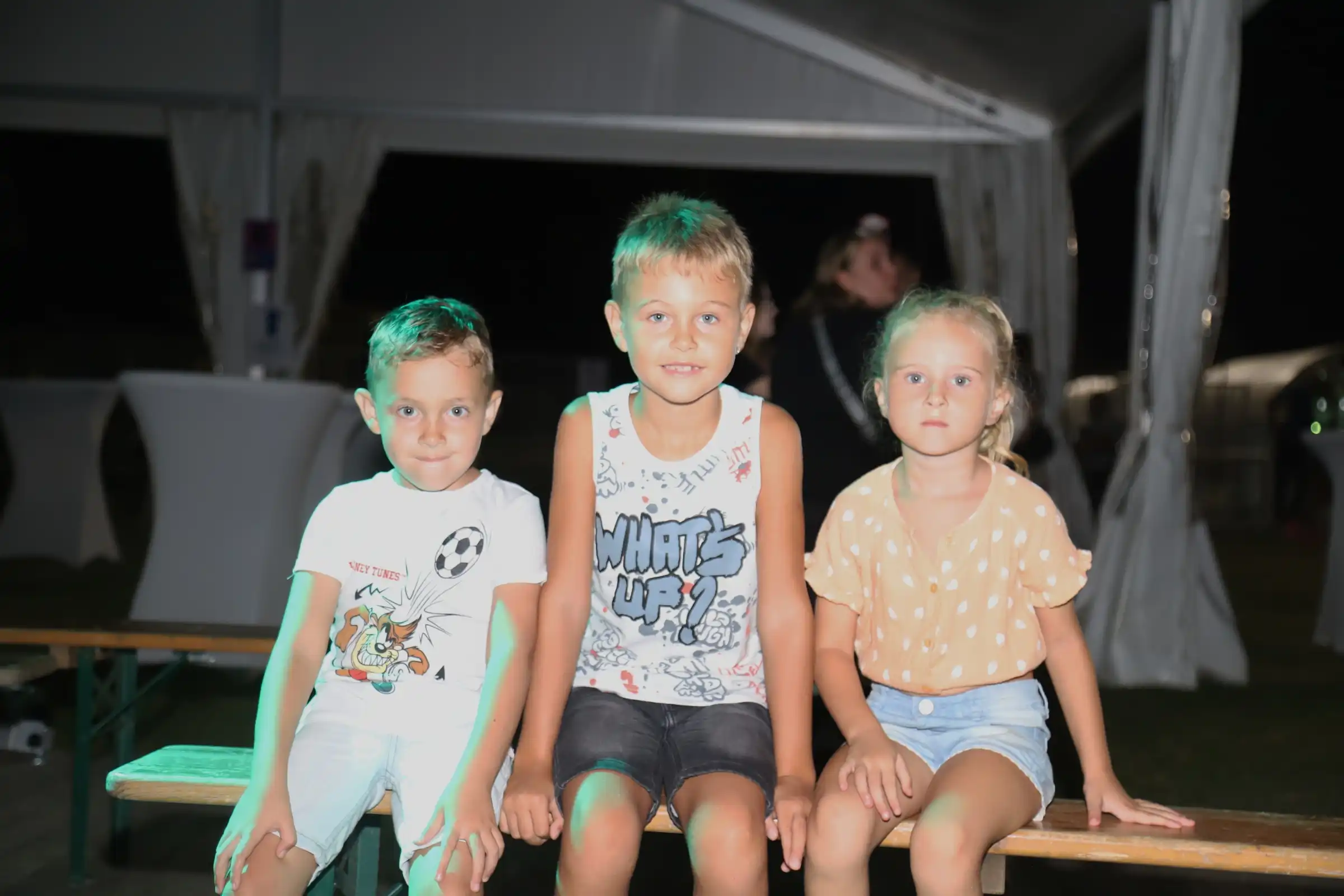 Pribislavec party (2) Pribislavec party (2)