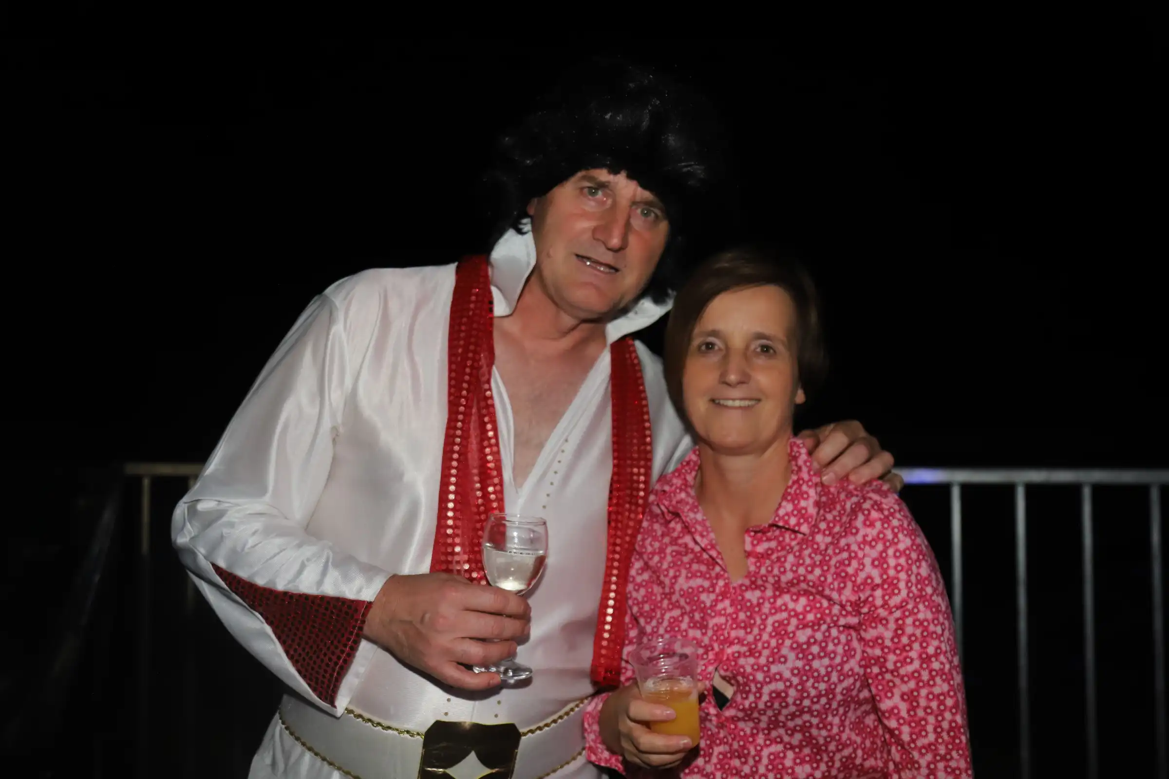 Pribislavec party (25) Pribislavec party (25)